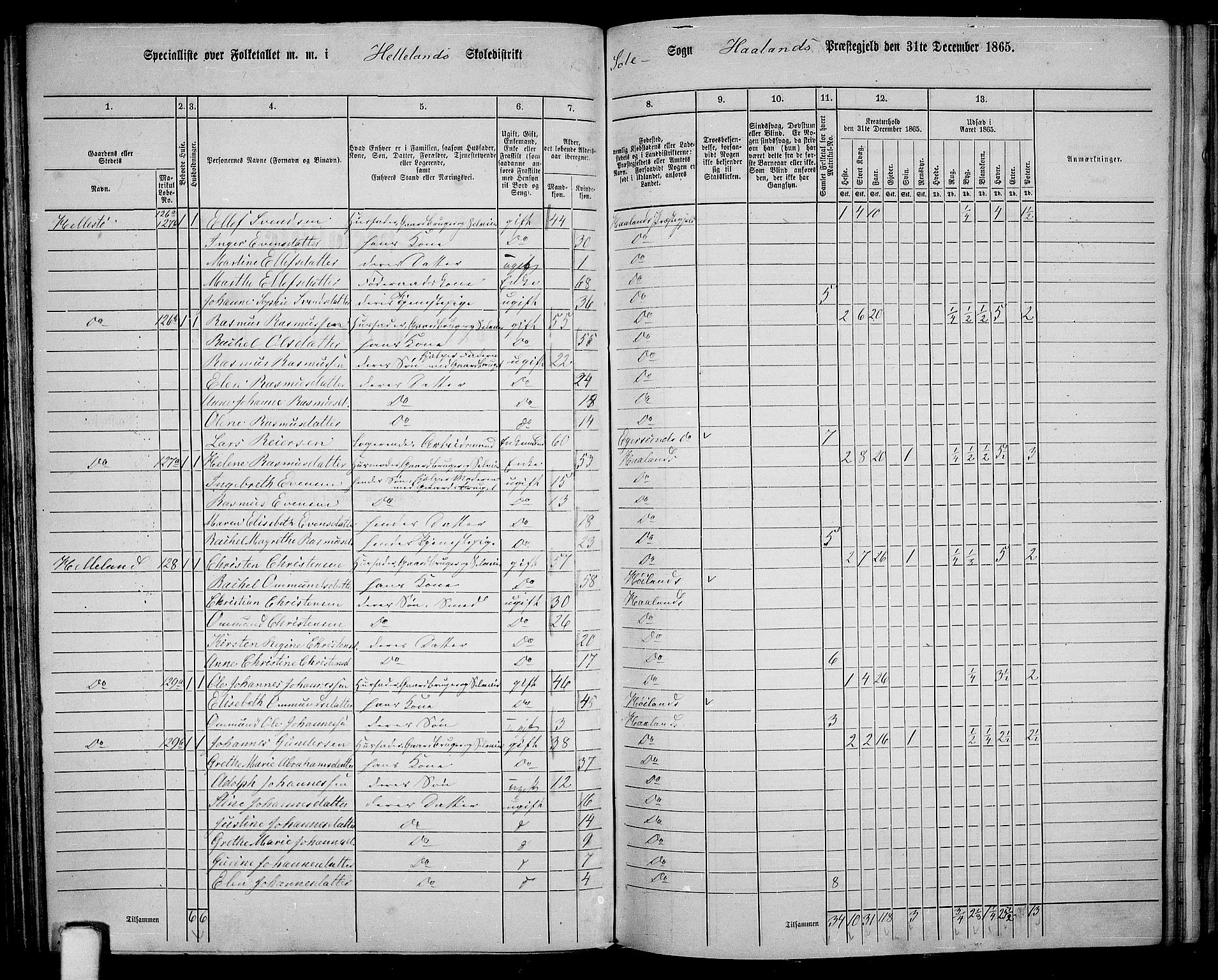 RA, 1865 census for Håland, 1865, p. 74