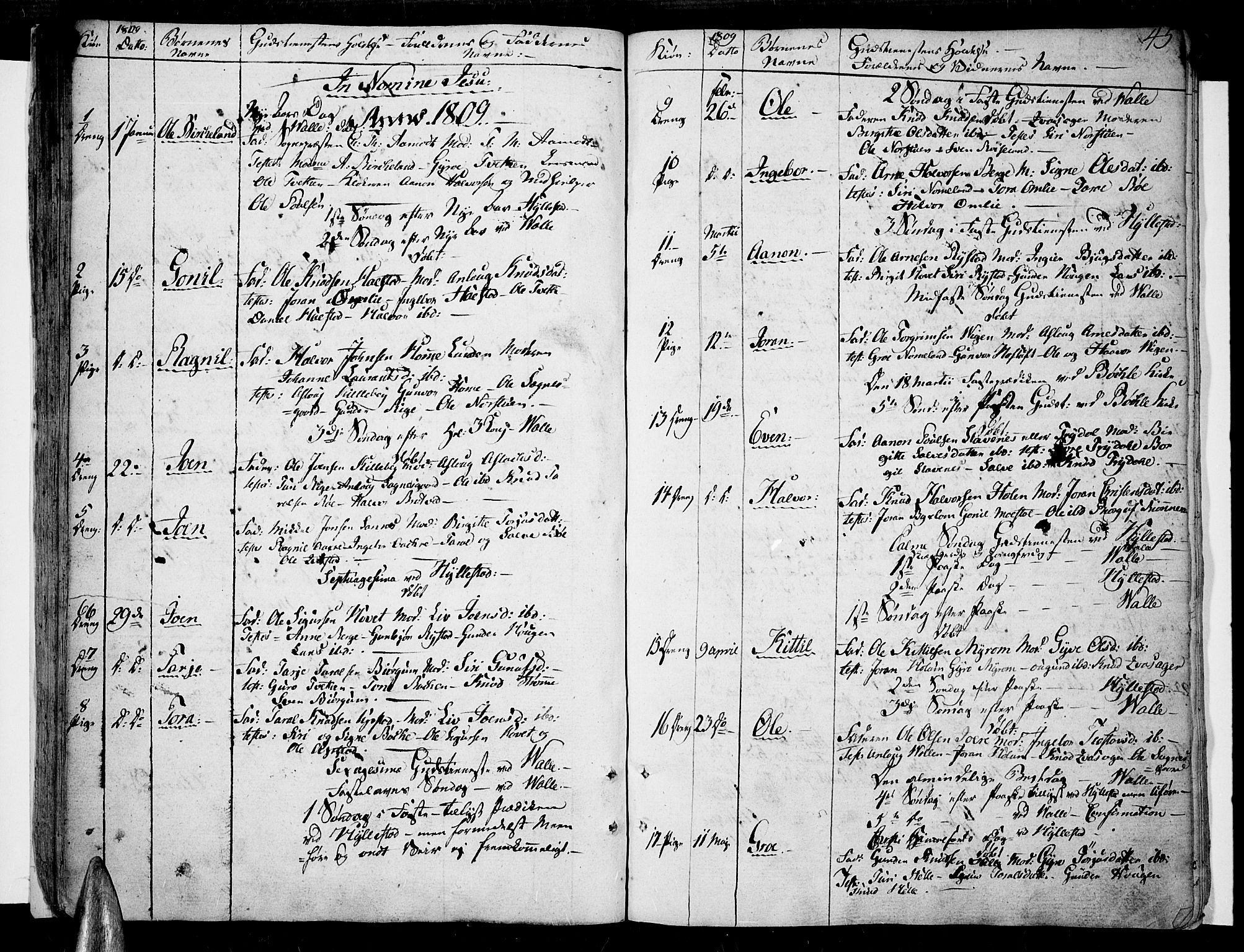 Valle sokneprestkontor, SAK/1111-0044/F/Fa/Fac/L0004: Parish register (official) no. A 4, 1790-1816, p. 45