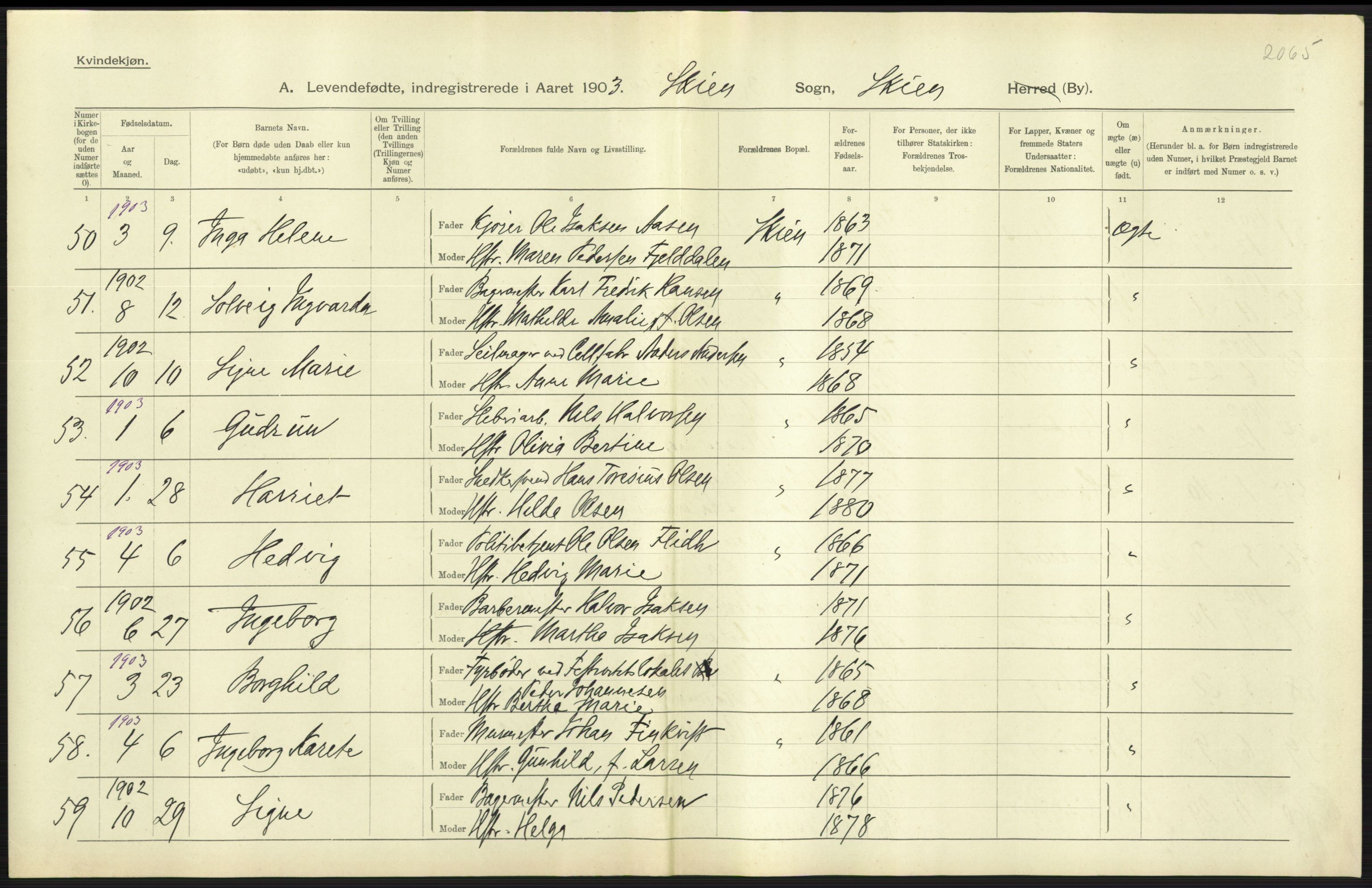 Statistisk sentralbyrå, Sosiodemografiske emner, Befolkning, AV/RA-S-2228/D/Df/Dfa/Dfaa/L0009: Bratsberg amt: Fødte, gifte, døde, 1903, p. 301