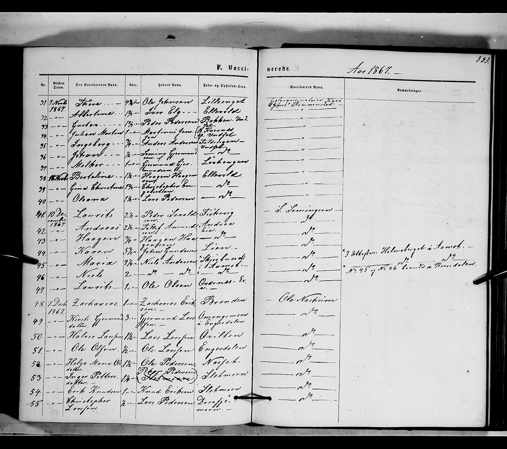 Rendalen prestekontor, AV/SAH-PREST-054/H/Ha/Haa/L0006: Parish register (official) no. 6, 1867-1877, p. 333