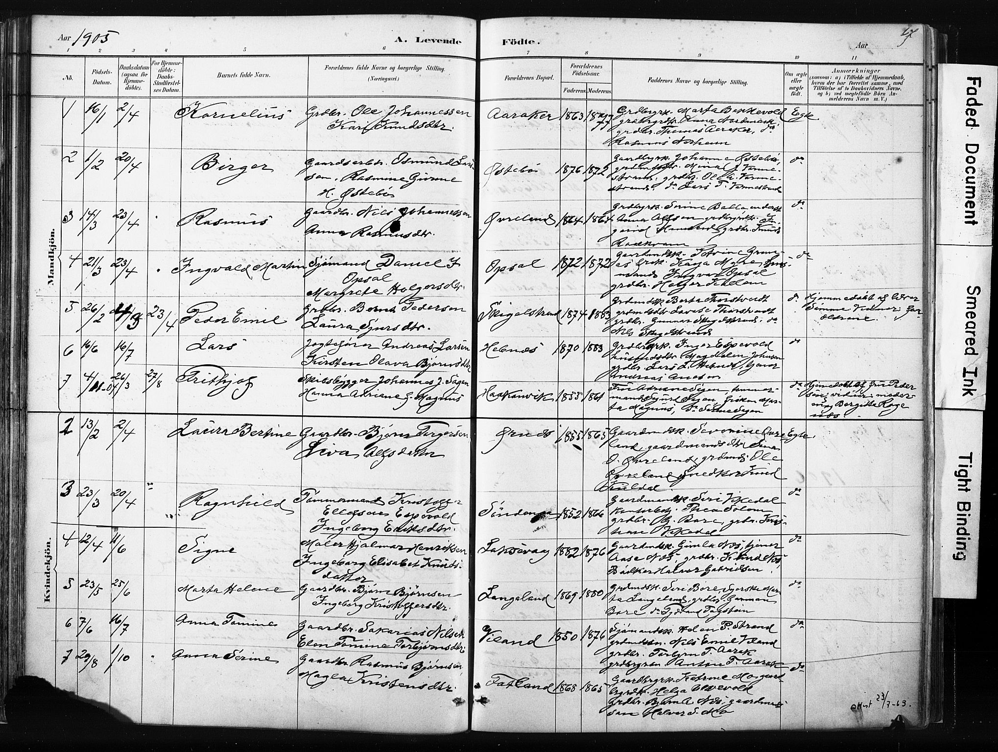 Vikedal sokneprestkontor, AV/SAST-A-101840/01/IV: Parish register (official) no. A 10, 1884-1907, p. 67