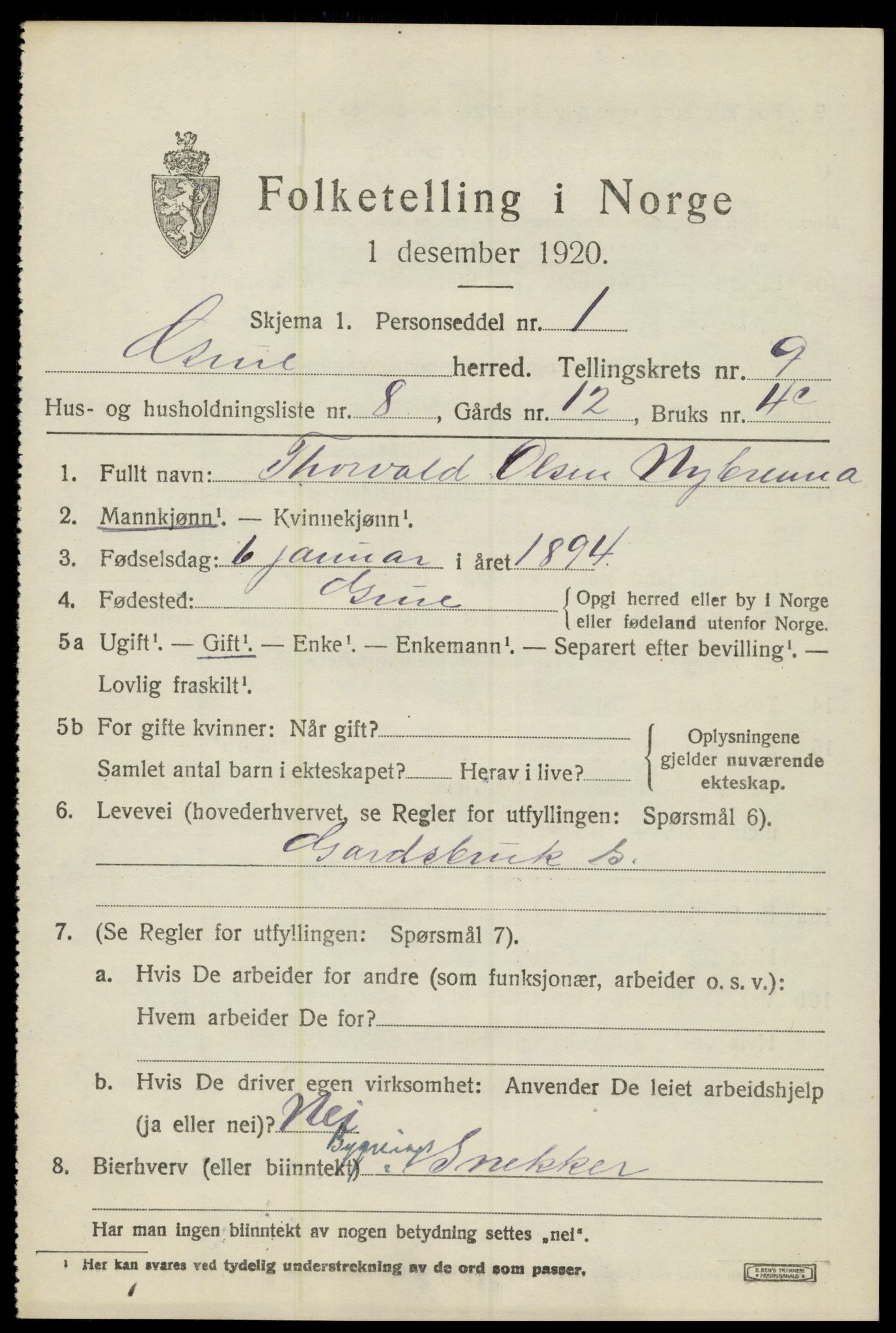 SAH, 1920 census for Grue, 1920, p. 8119