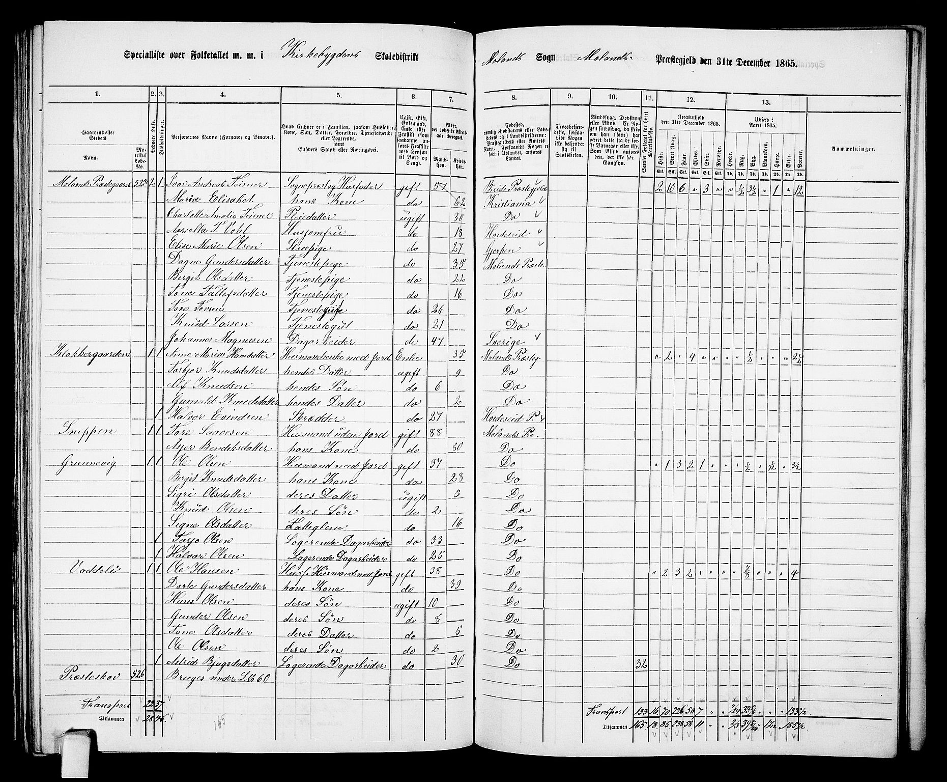 RA, 1865 census for Moland, 1865, p. 52