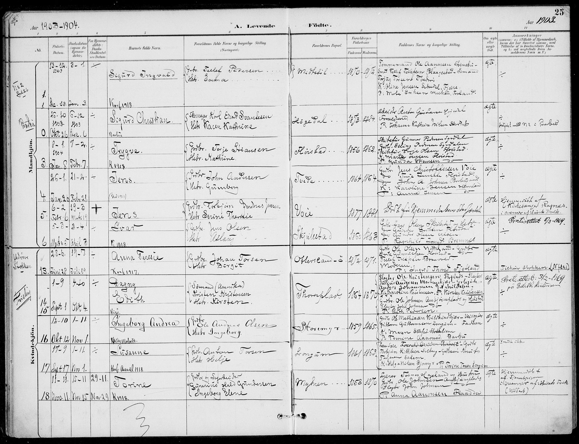 Austre Moland sokneprestkontor, AV/SAK-1111-0001/F/Fa/Faa/L0011: Parish register (official) no. A 11, 1894-1915, p. 25