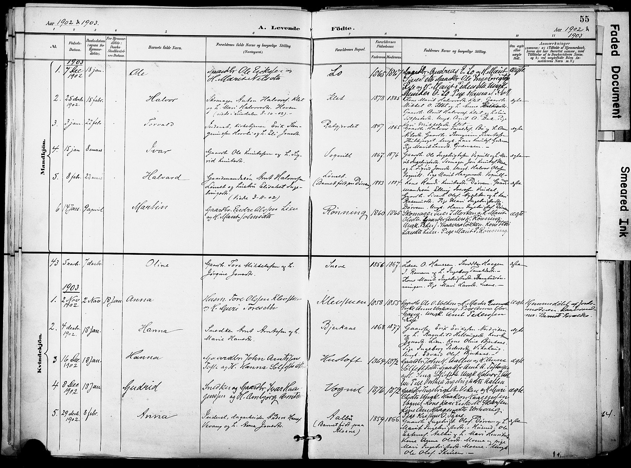Ministerialprotokoller, klokkerbøker og fødselsregistre - Sør-Trøndelag, SAT/A-1456/678/L0902: Parish register (official) no. 678A11, 1895-1911, p. 55