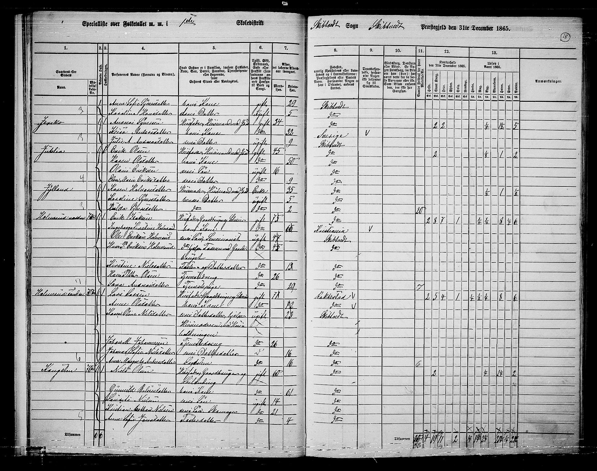 RA, 1865 census for Skiptvet, 1865, p. 17