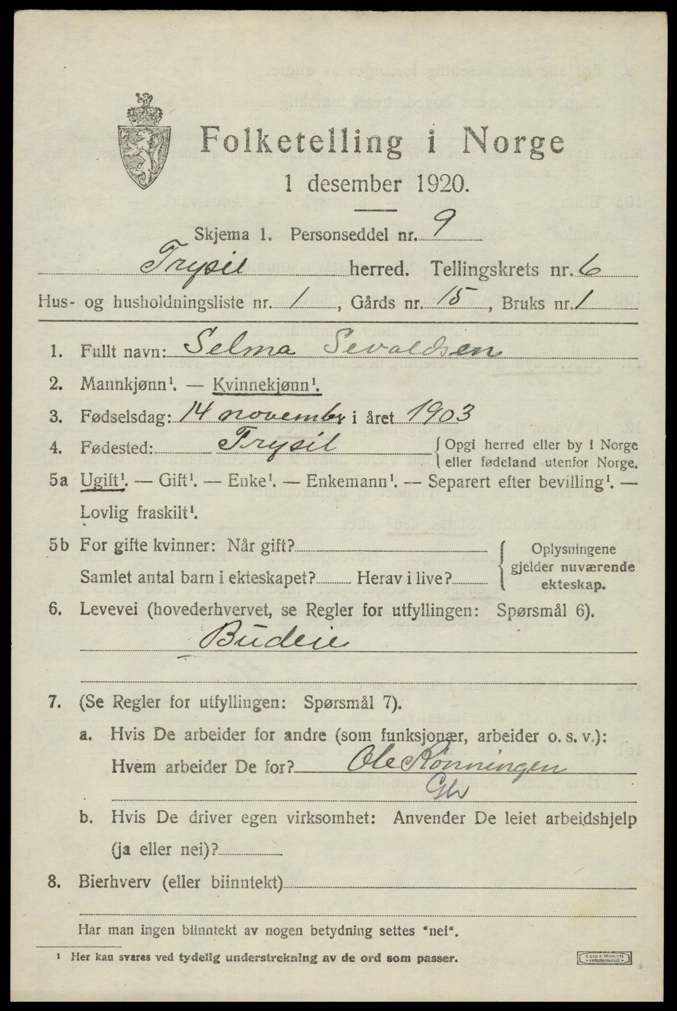 SAH, 1920 census for Trysil, 1920, p. 4545