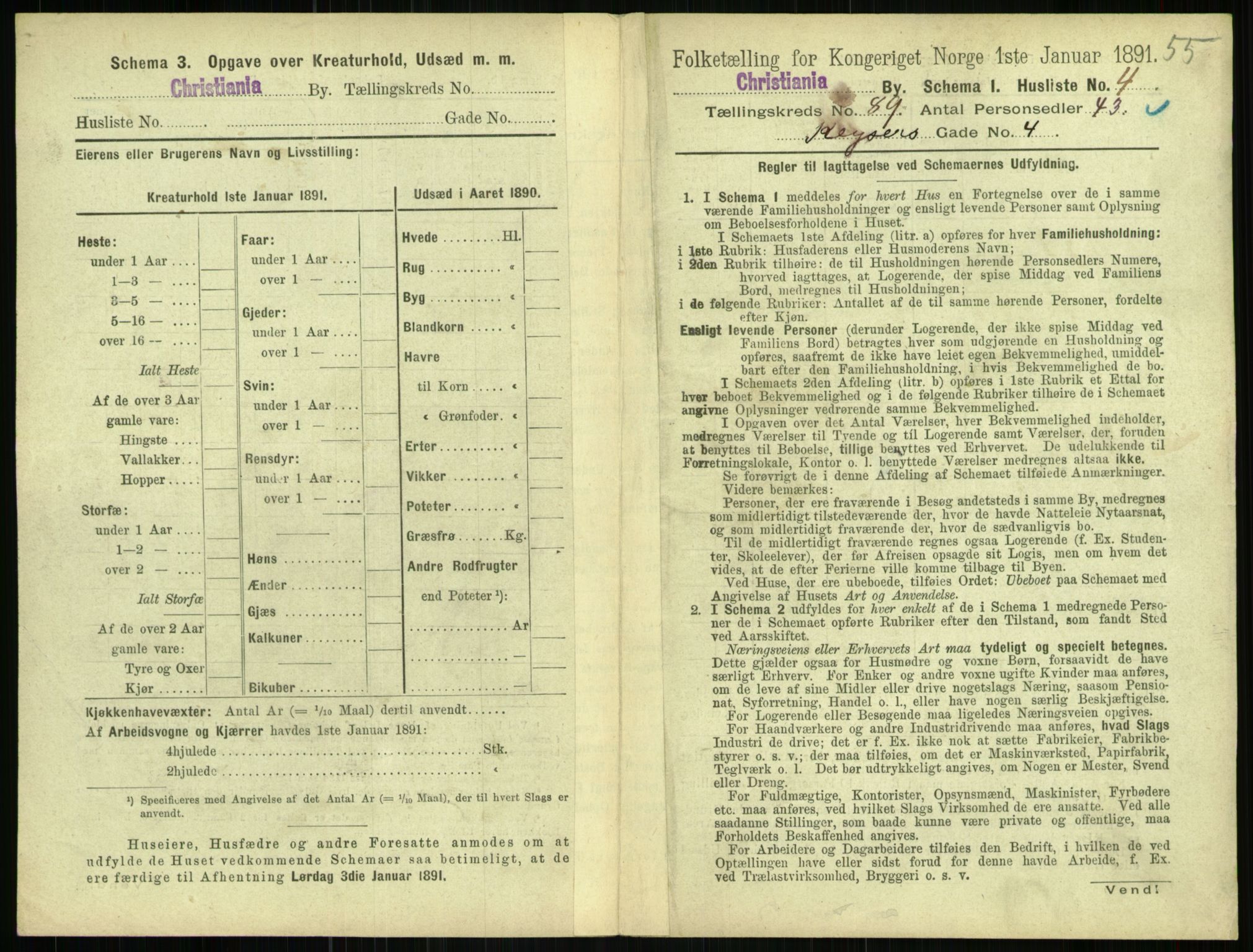 RA, 1891 census for 0301 Kristiania, 1891, p. 43885