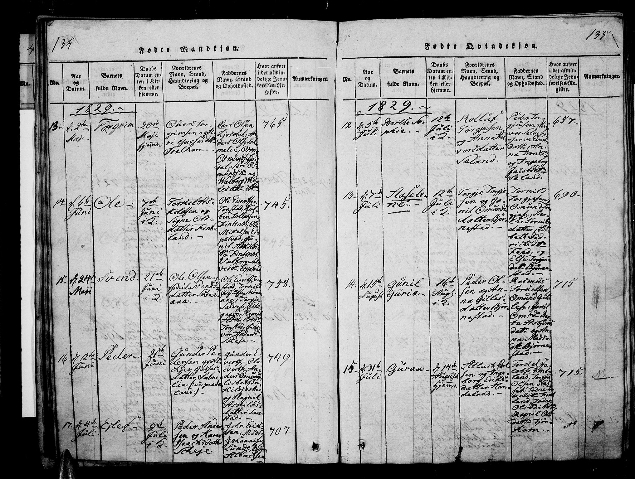 Sirdal sokneprestkontor, AV/SAK-1111-0036/F/Fa/Fab/L0001: Parish register (official) no. A 1, 1815-1834, p. 134-135