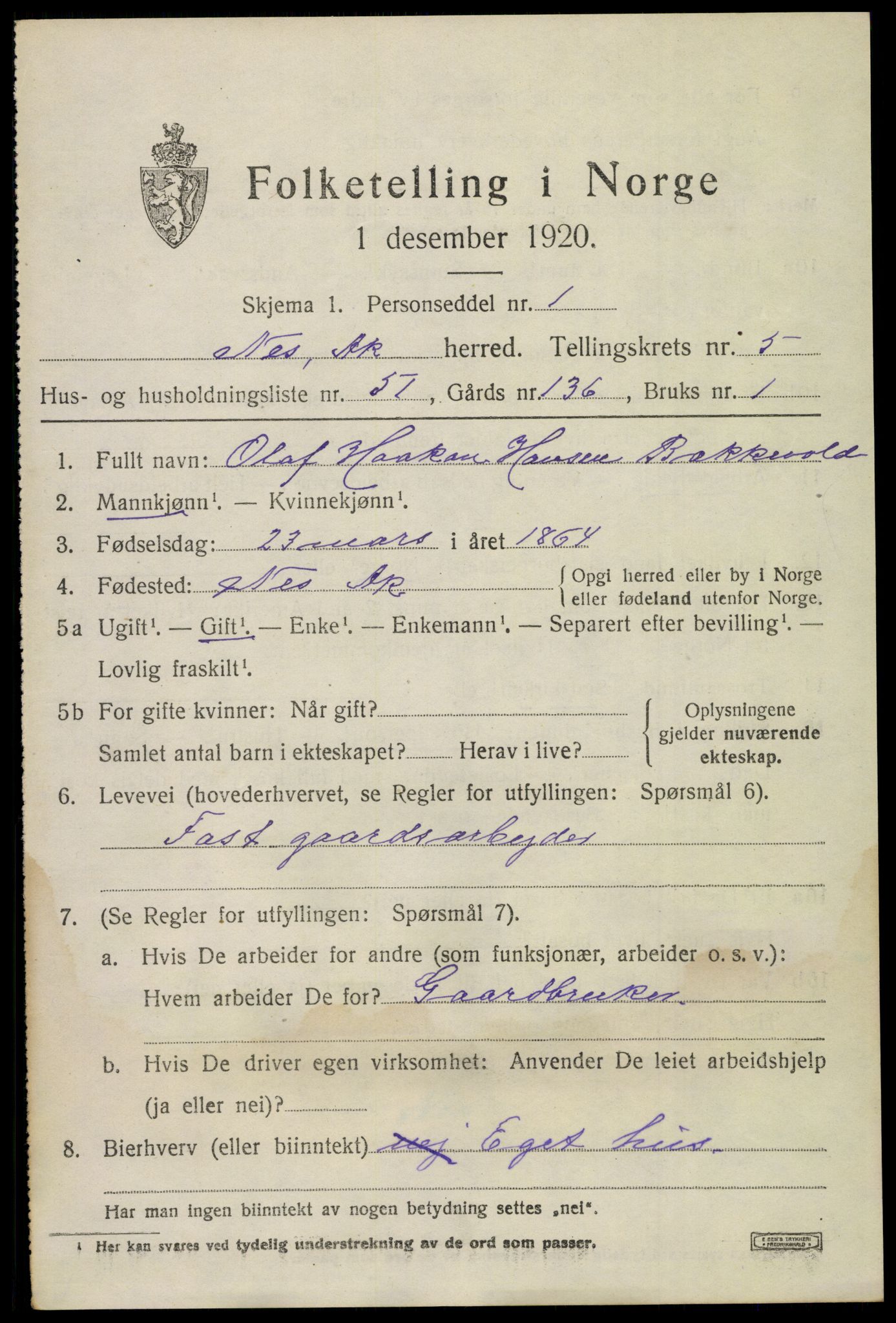 SAO, 1920 census for Nes, 1920, p. 7100