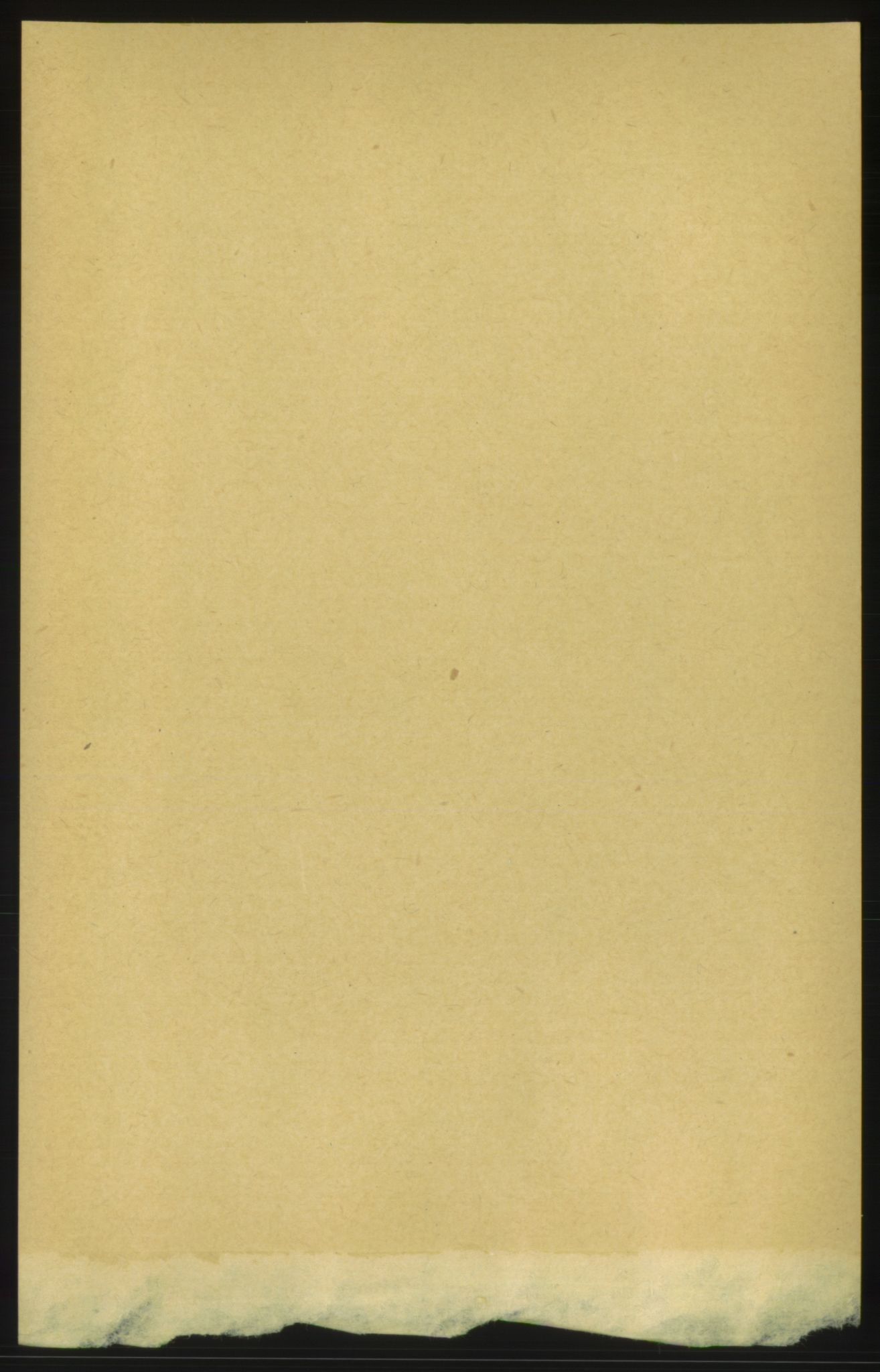 RA, 1891 census for 1660 Strinda, 1891, p. 8931
