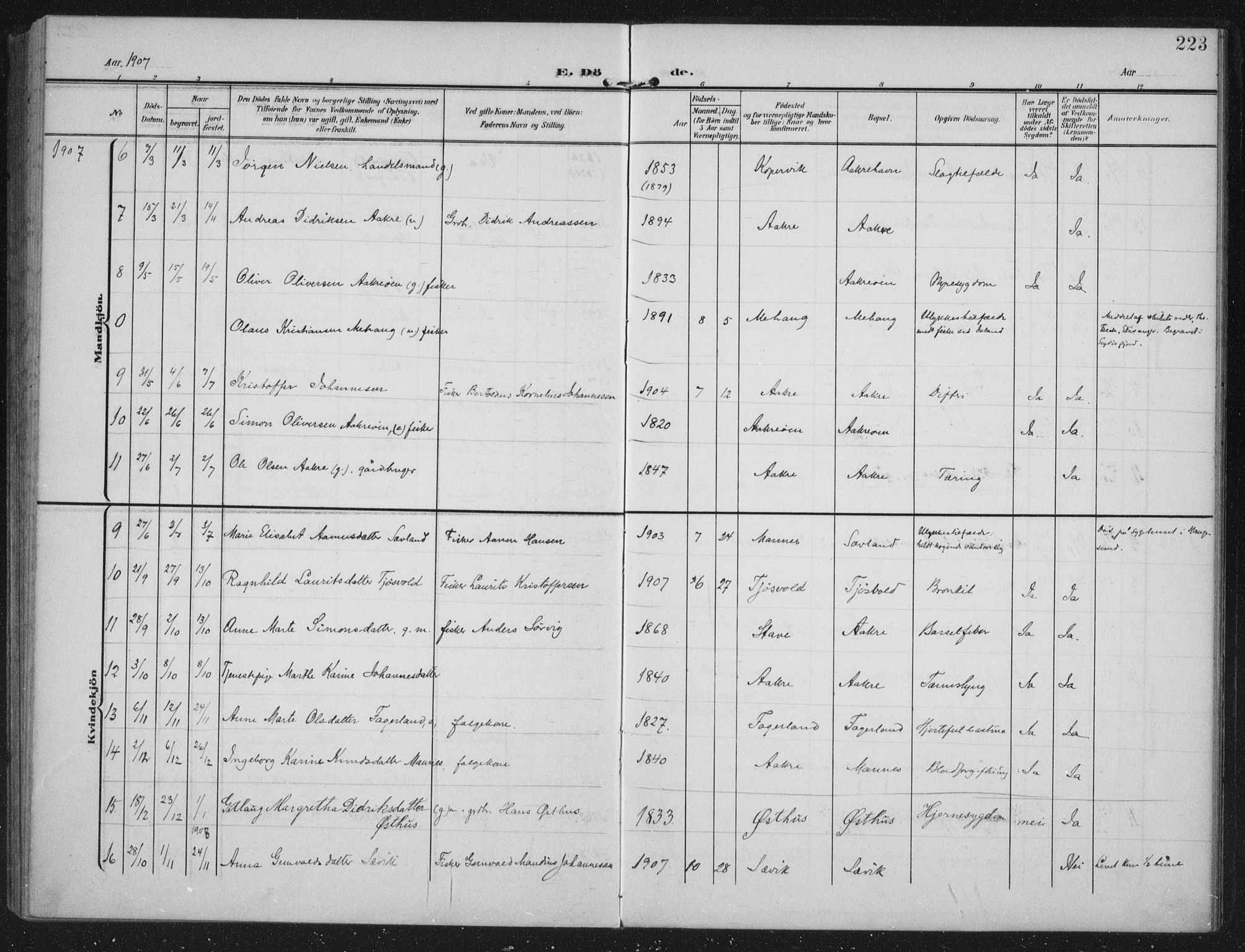 Kopervik sokneprestkontor, AV/SAST-A-101850/H/Ha/Haa/L0005: Parish register (official) no. A 5, 1906-1924, p. 223