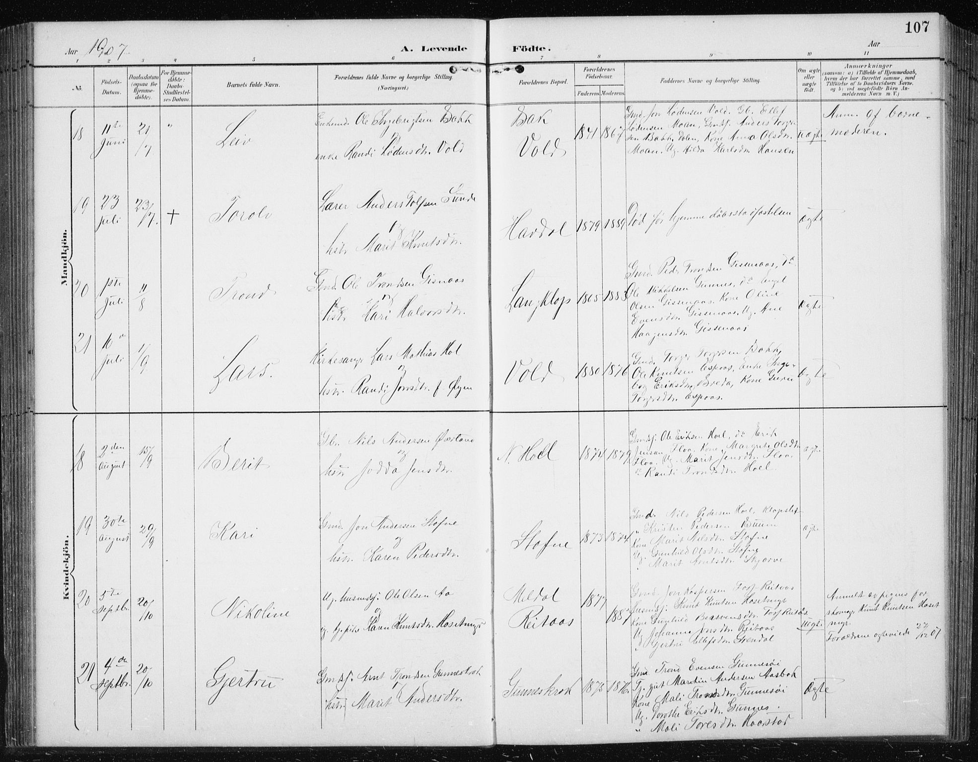 Ministerialprotokoller, klokkerbøker og fødselsregistre - Sør-Trøndelag, AV/SAT-A-1456/674/L0876: Parish register (copy) no. 674C03, 1892-1912, p. 107