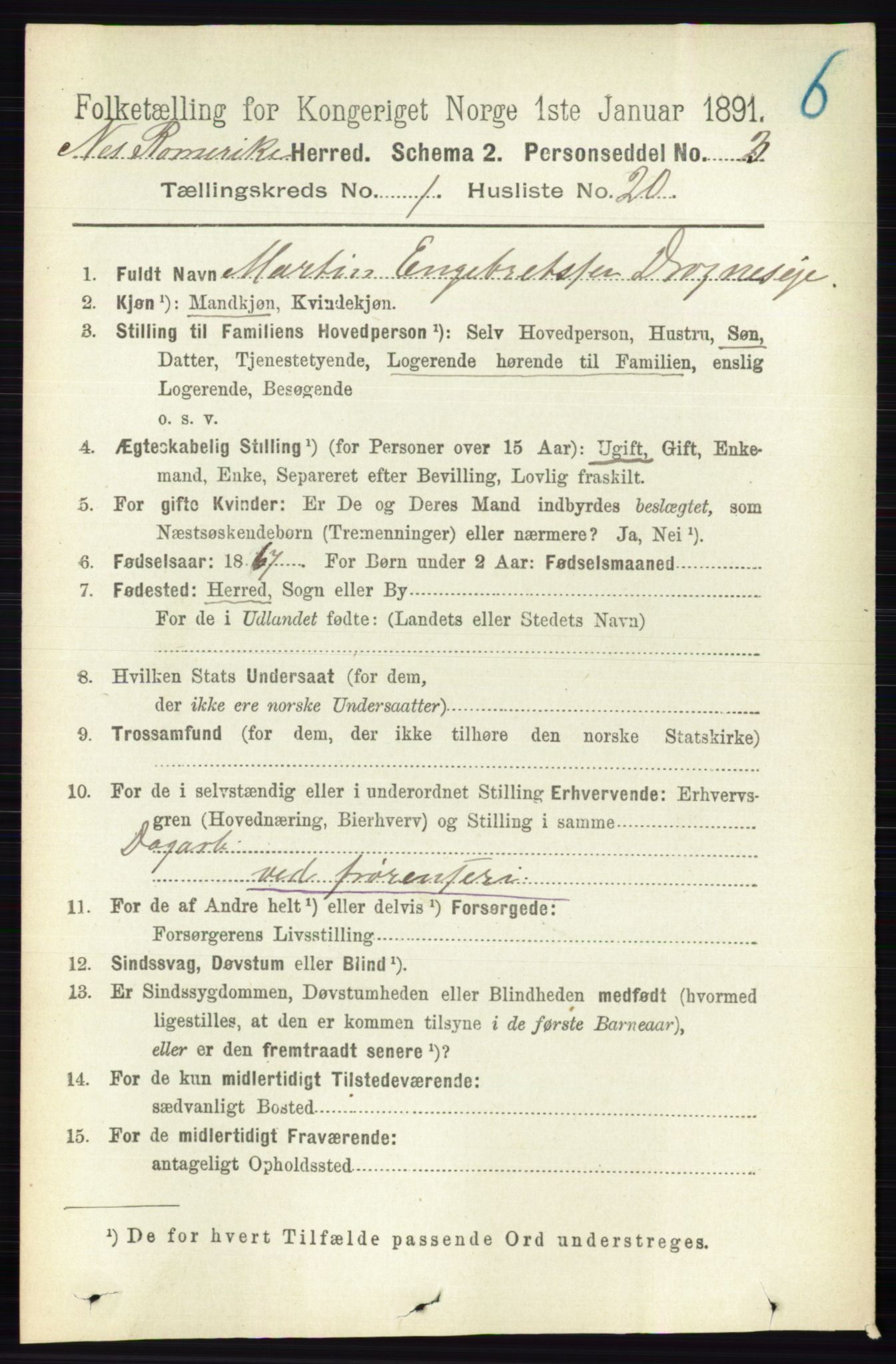 RA, 1891 census for 0236 Nes, 1891, p. 242
