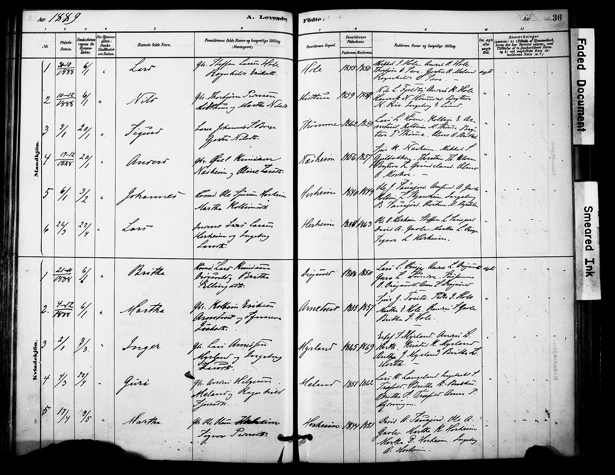 Vossestrand Sokneprestembete, AV/SAB-A-79101/H/Haa: Parish register (official) no. C 1, 1878-1903, p. 36