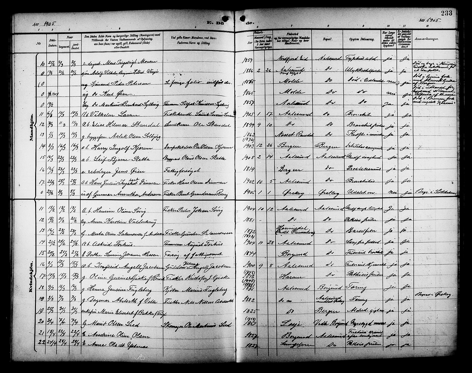 Ministerialprotokoller, klokkerbøker og fødselsregistre - Møre og Romsdal, AV/SAT-A-1454/529/L0469: Parish register (copy) no. 529C06, 1898-1906, p. 233