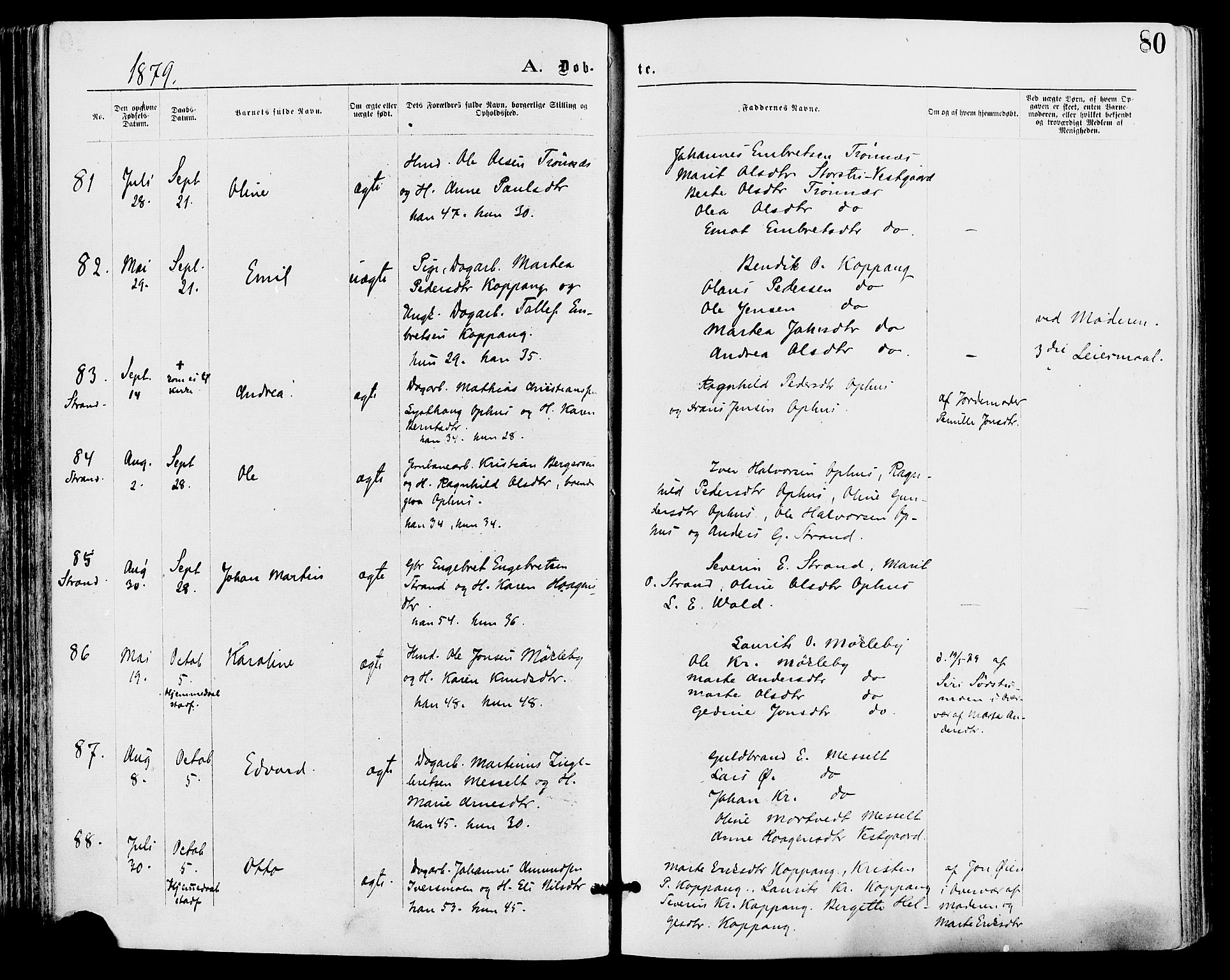 Stor-Elvdal prestekontor, AV/SAH-PREST-052/H/Ha/Haa/L0001: Parish register (official) no. 1, 1871-1882, p. 80