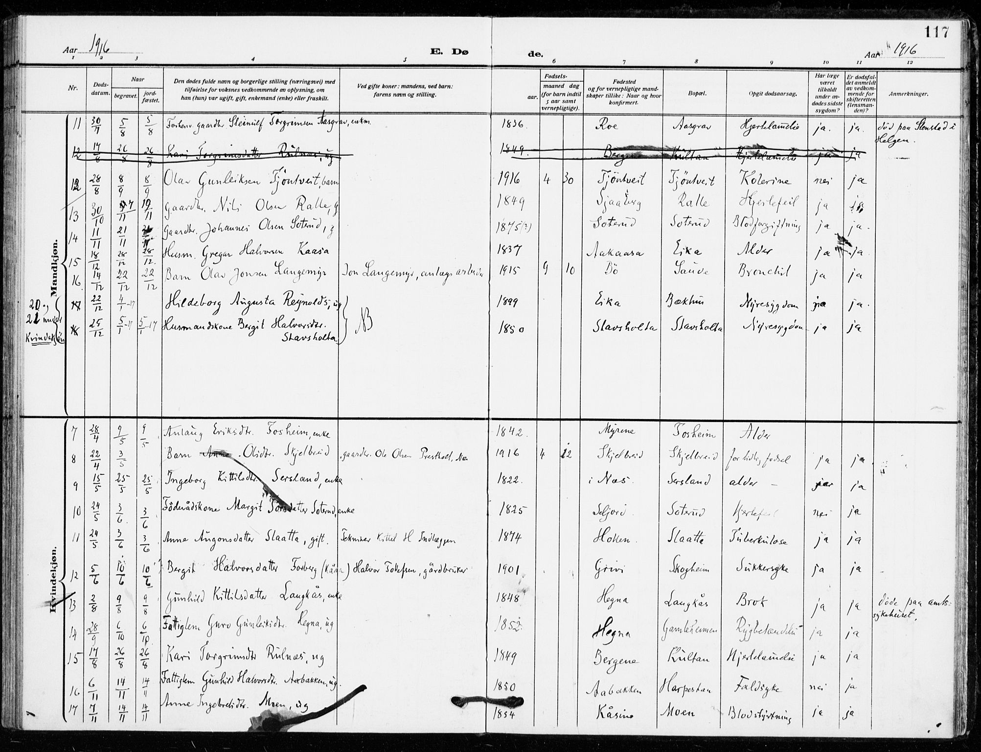 Bø kirkebøker, SAKO/A-257/F/Fa/L0013: Parish register (official) no. 13, 1909-1921, p. 117