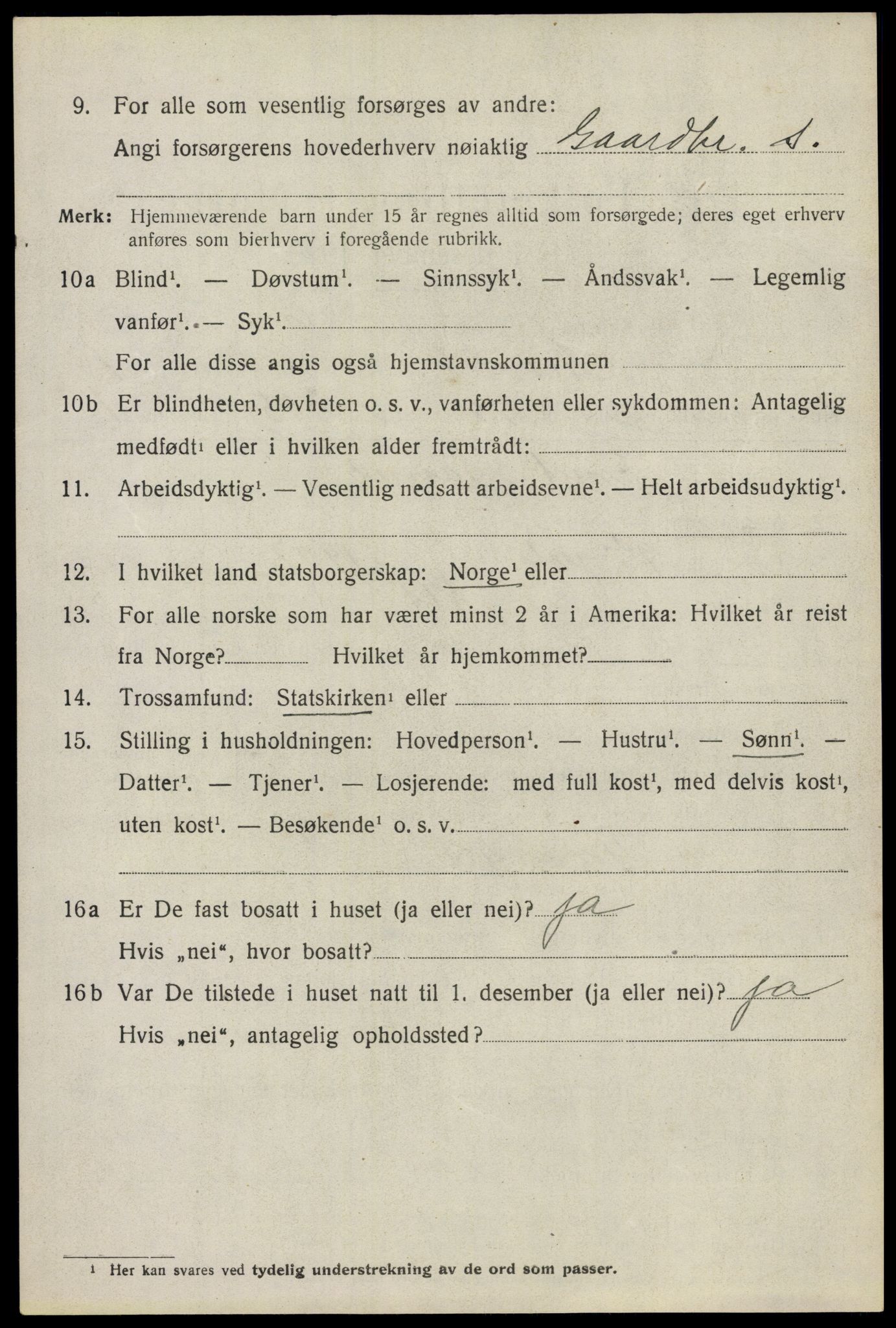 SAO, 1920 census for Nes, 1920, p. 18883