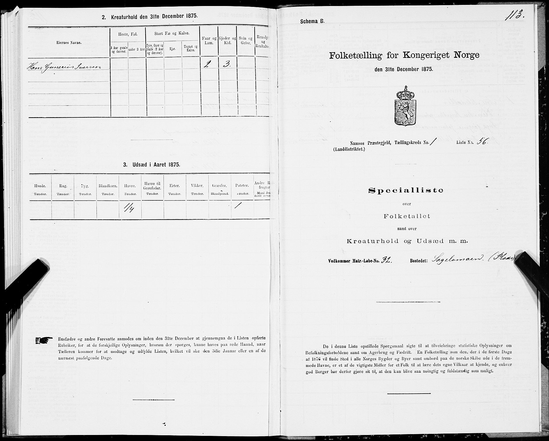 SAT, 1875 census for 1745L Namsos/Vemundvik og Sævik, 1875, p. 1113