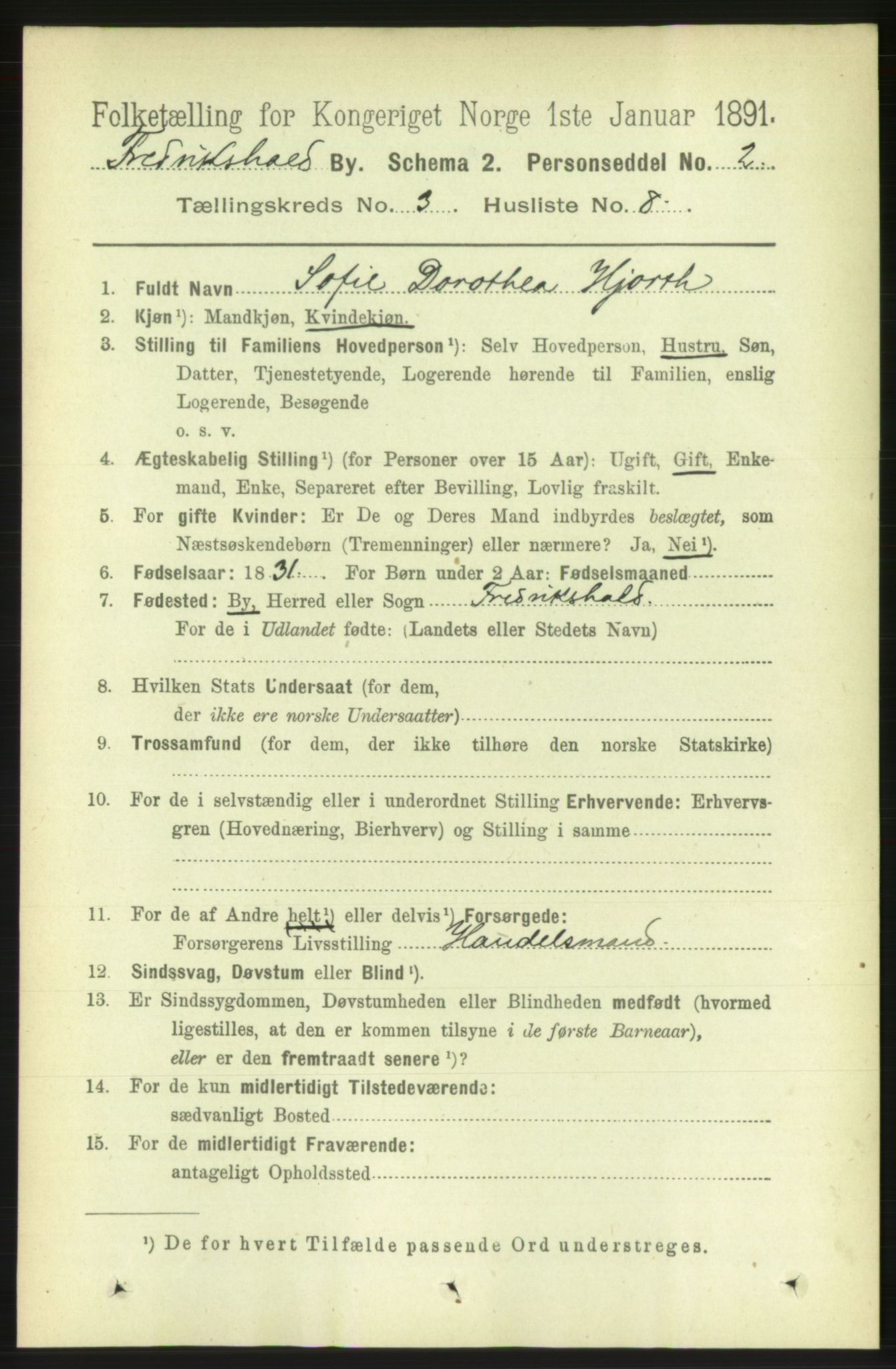 RA, 1891 census for 0101 Fredrikshald, 1891, p. 3333