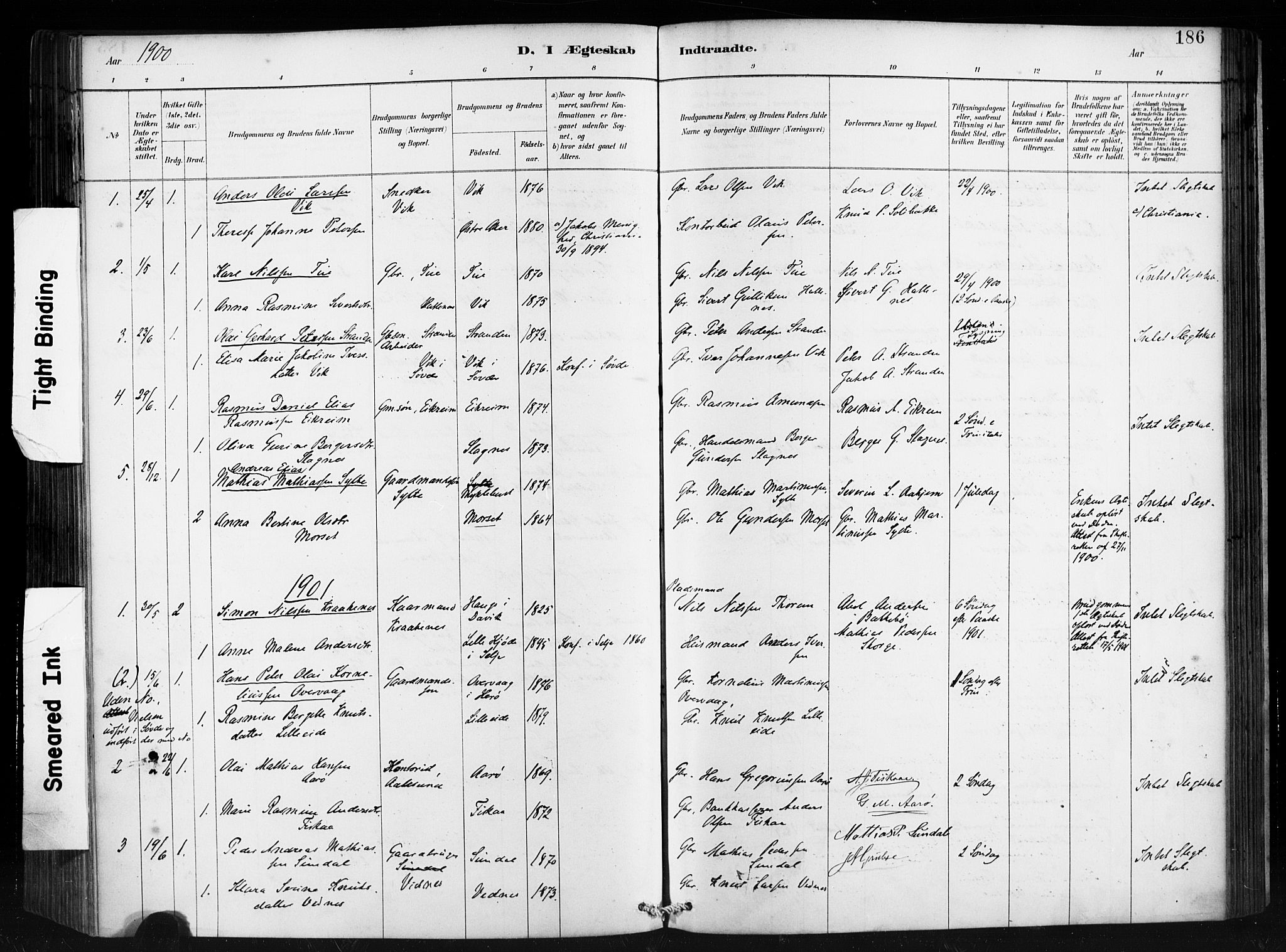 Ministerialprotokoller, klokkerbøker og fødselsregistre - Møre og Romsdal, AV/SAT-A-1454/501/L0008: Parish register (official) no. 501A08, 1885-1901, p. 186