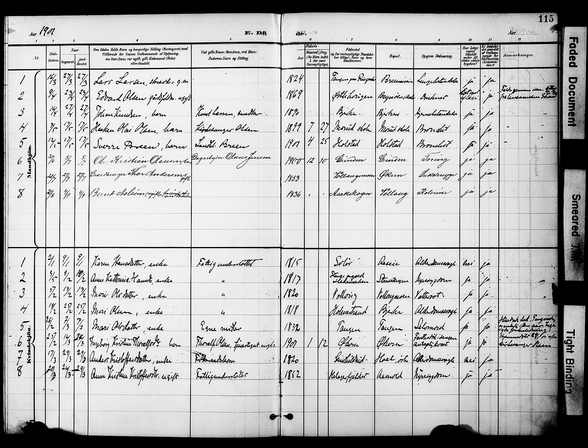 Nannestad prestekontor Kirkebøker, SAO/A-10414a/G/Gc/L0001: Parish register (copy) no. III 1, 1901-1916, p. 115
