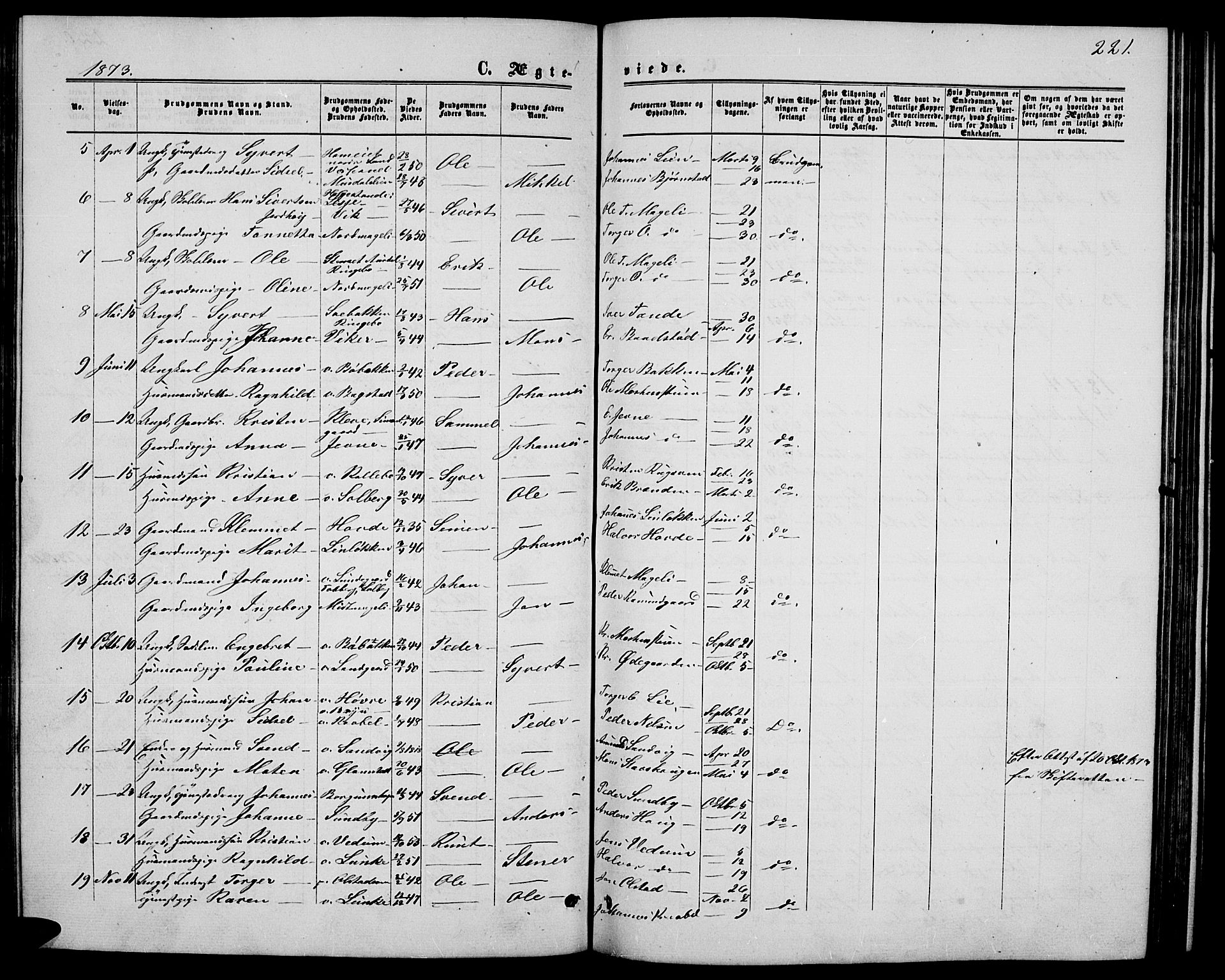 Øyer prestekontor, SAH/PREST-084/H/Ha/Hab/L0001: Parish register (copy) no. 1, 1863-1877, p. 221