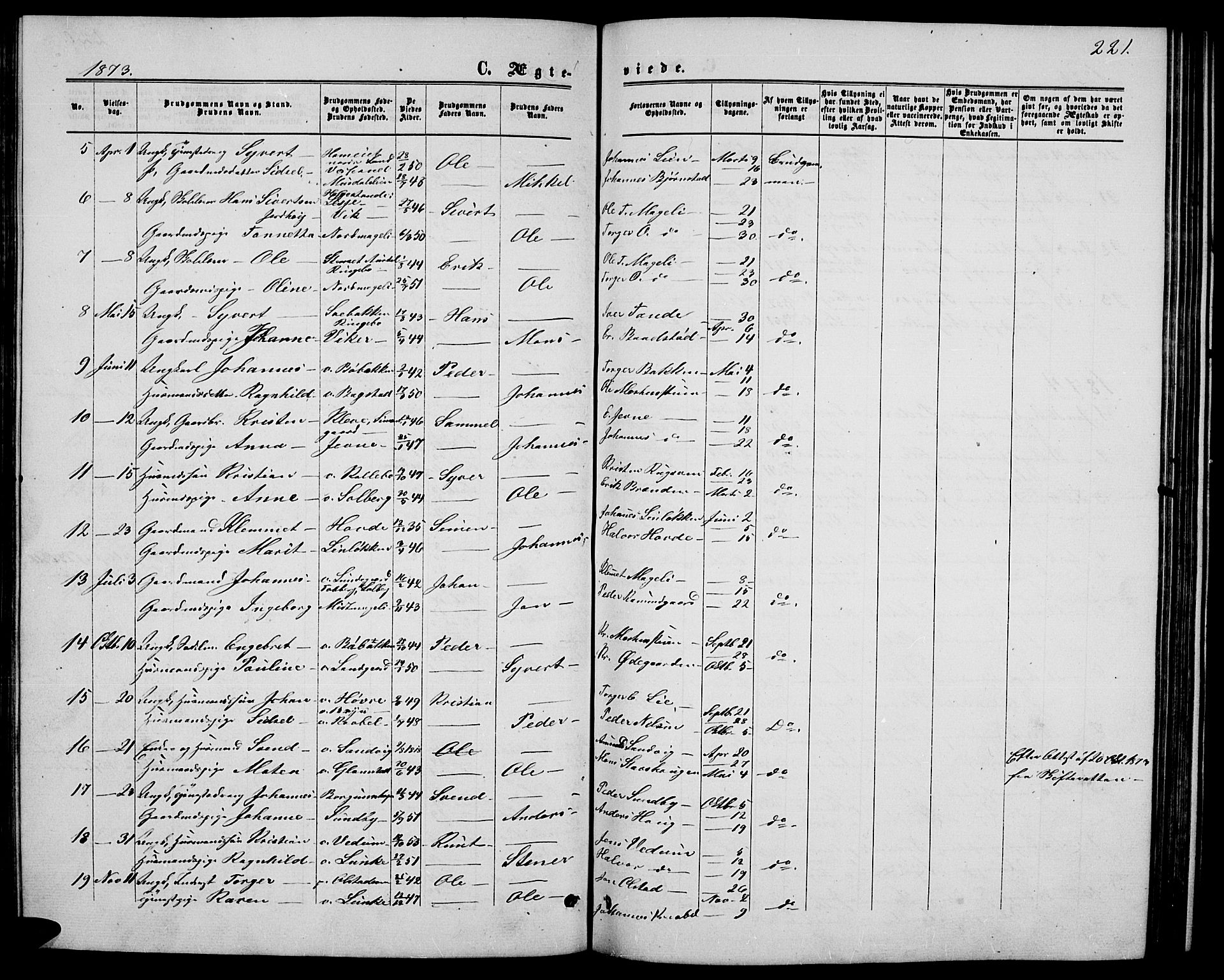 Øyer prestekontor, AV/SAH-PREST-084/H/Ha/Hab/L0001: Parish register (copy) no. 1, 1863-1877, p. 221