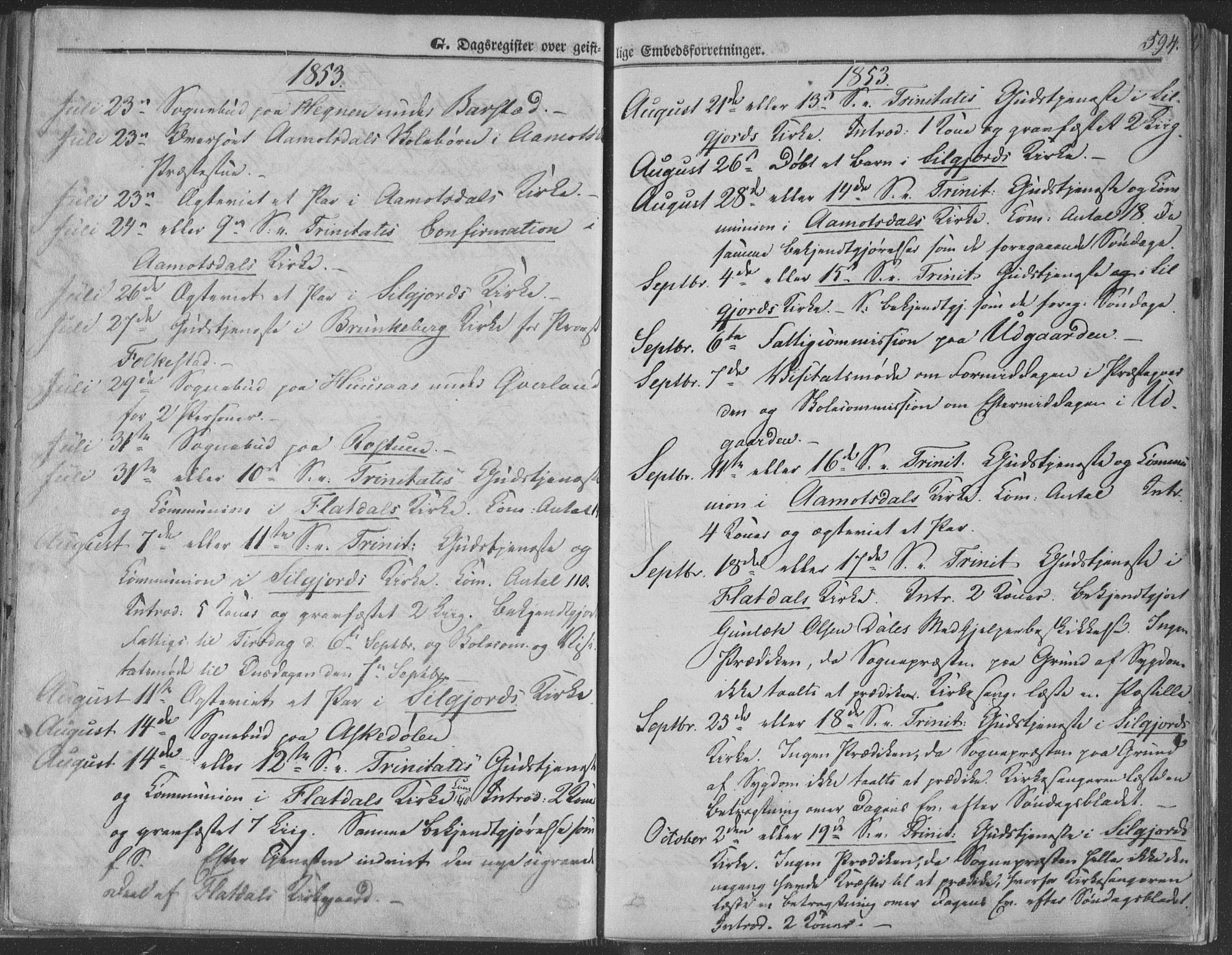 Seljord kirkebøker, AV/SAKO-A-20/F/Fa/L012b: Parish register (official) no. I 12B, 1850-1865, p. 594