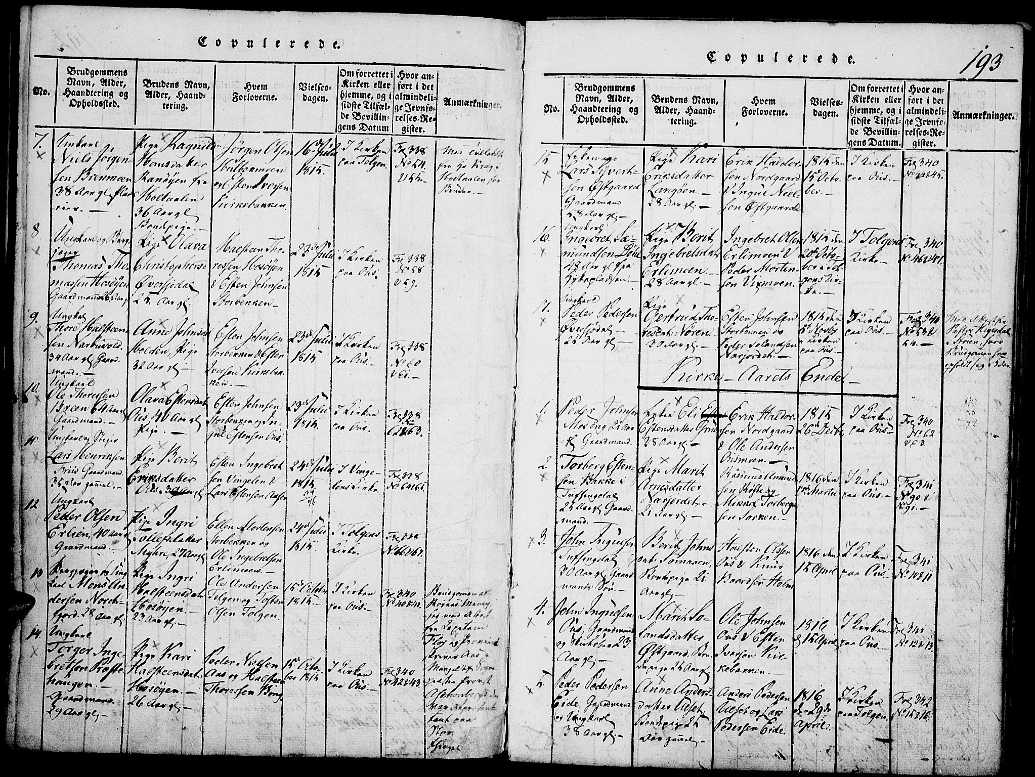 Tolga prestekontor, SAH/PREST-062/K/L0004: Parish register (official) no. 4, 1815-1836, p. 193