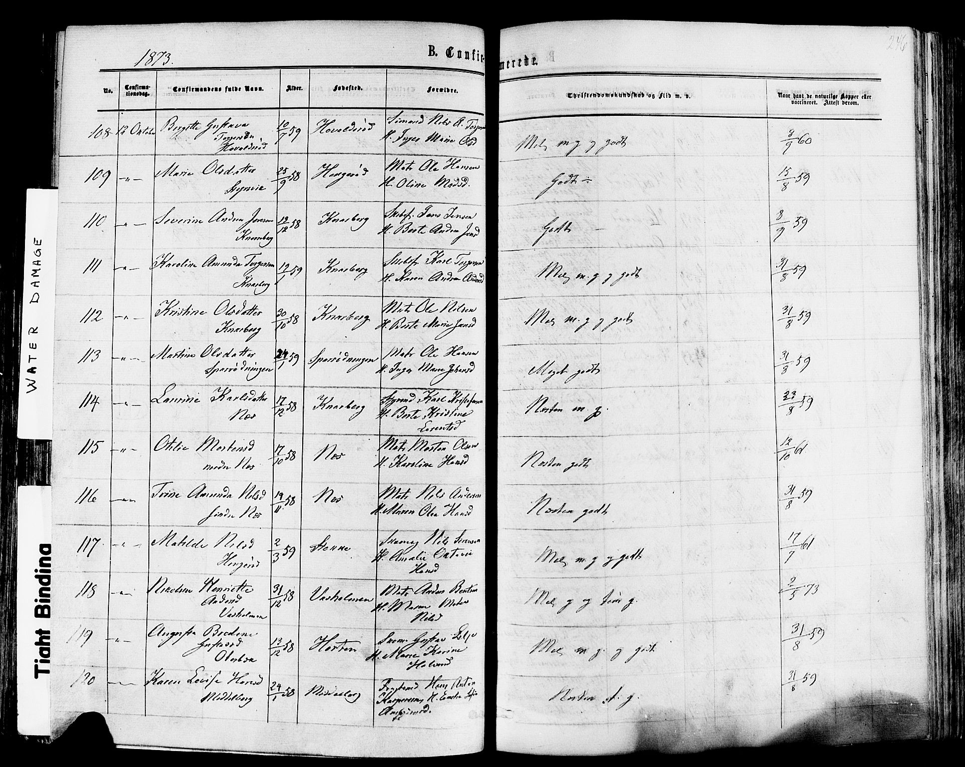 Nøtterøy kirkebøker, SAKO/A-354/F/Fa/L0007: Parish register (official) no. I 7, 1865-1877, p. 246