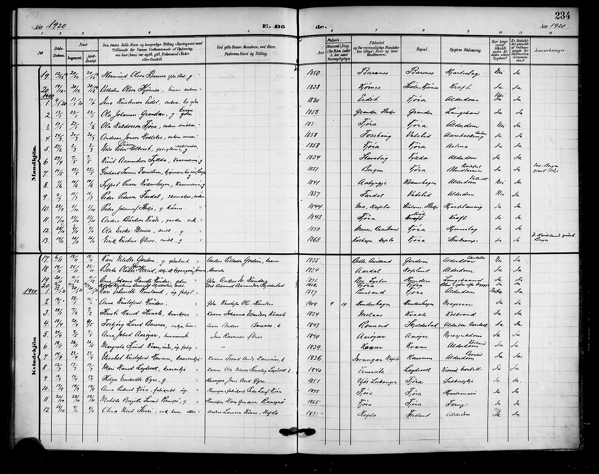 Sogndal sokneprestembete, AV/SAB-A-81301/H/Hab/Haba/L0002: Parish register (copy) no. A 2, 1908-1924, p. 234