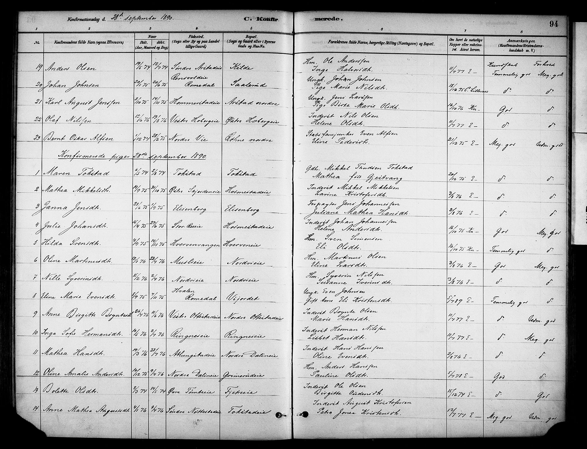Stange prestekontor, SAH/PREST-002/K/L0019: Parish register (official) no. 19, 1880-1891, p. 94