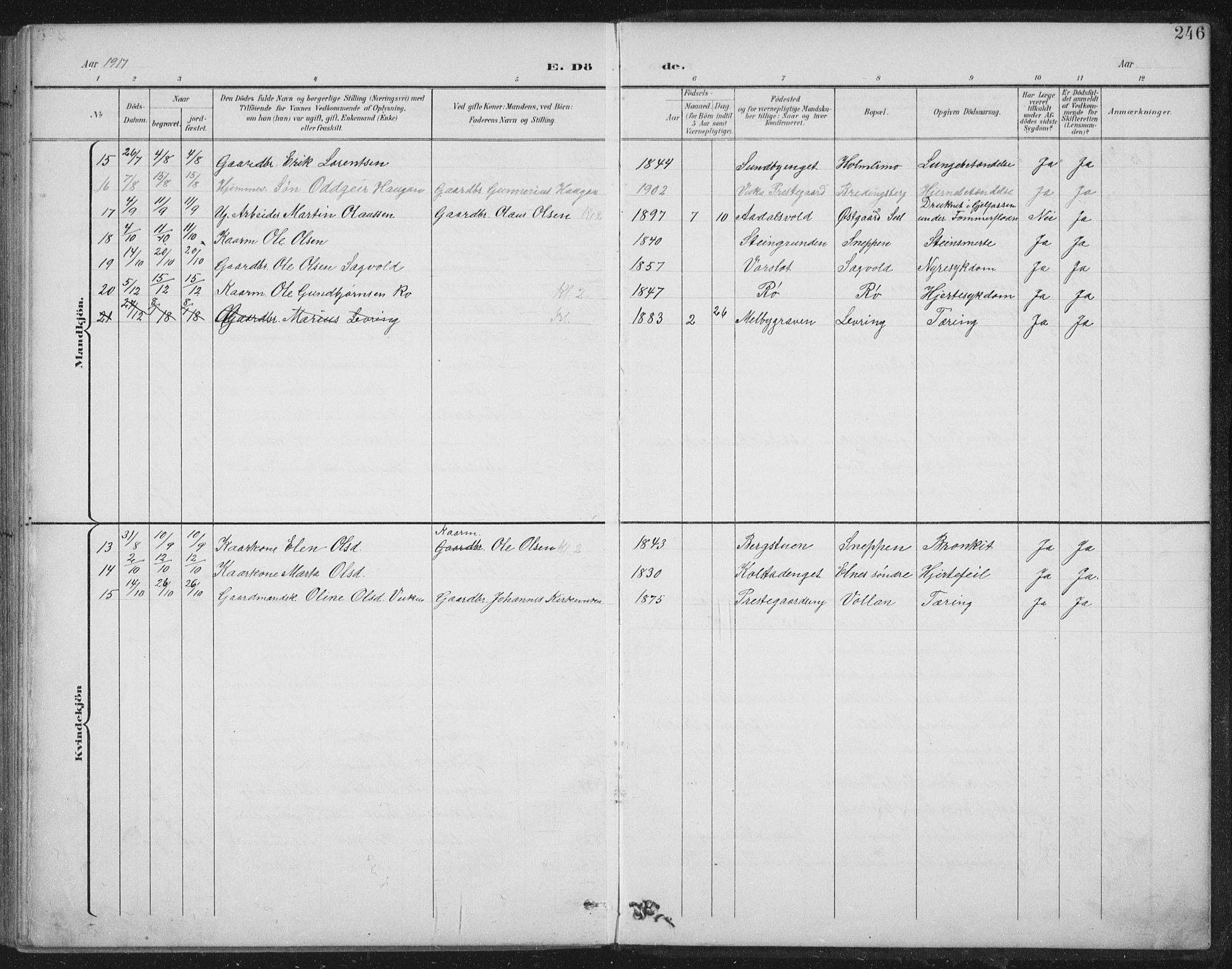 Ministerialprotokoller, klokkerbøker og fødselsregistre - Nord-Trøndelag, AV/SAT-A-1458/724/L0269: Parish register (copy) no. 724C05, 1899-1920, p. 246