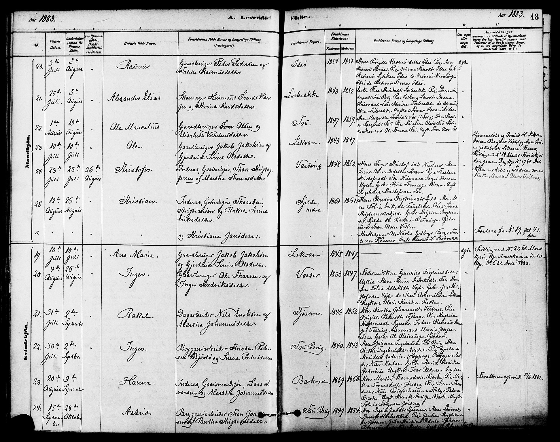 Strand sokneprestkontor, AV/SAST-A-101828/H/Ha/Haa/L0009: Parish register (official) no. A 9, 1877-1908, p. 43