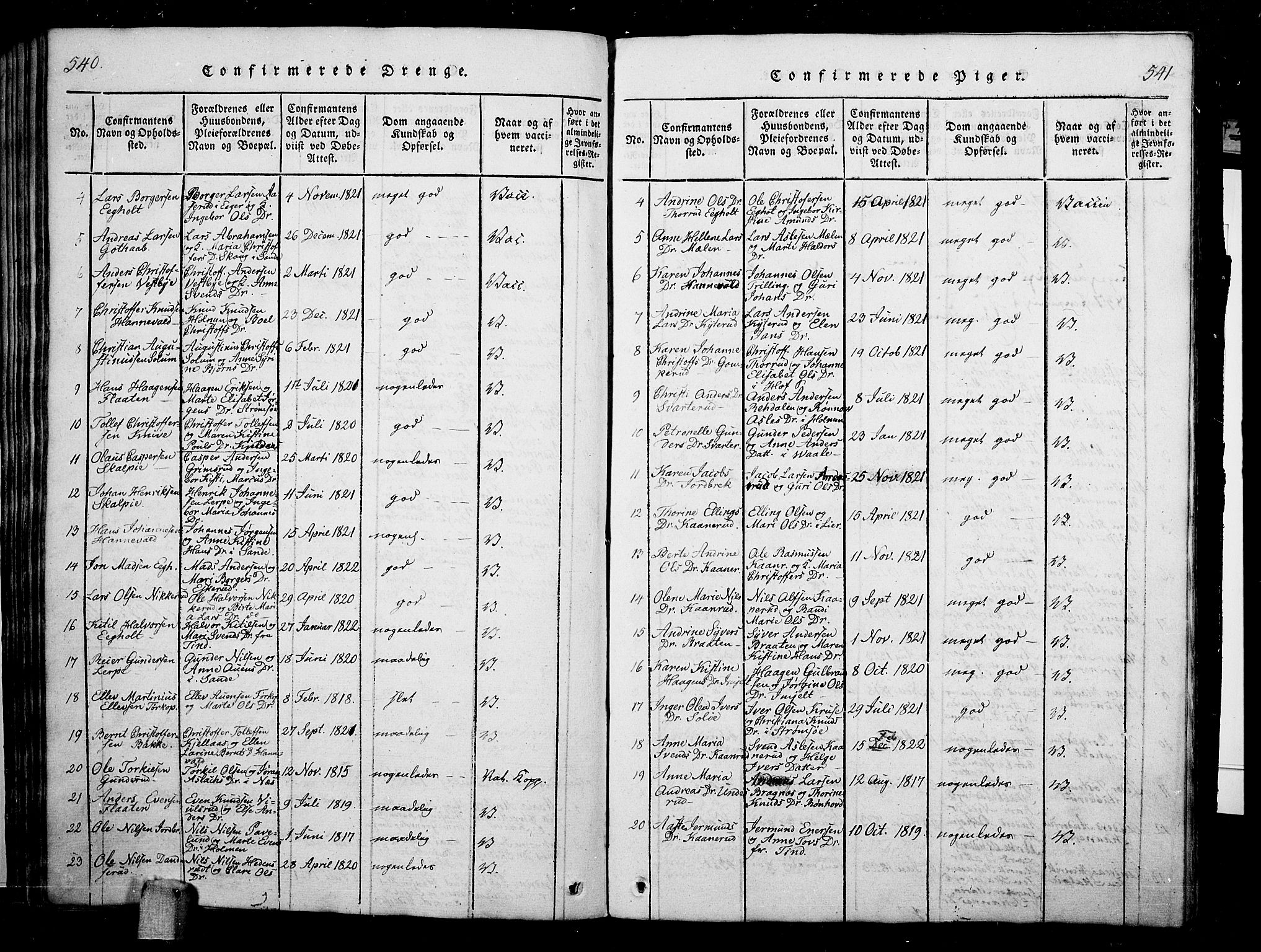 Skoger kirkebøker, AV/SAKO-A-59/G/Ga/L0001: Parish register (copy) no. I 1, 1814-1845, p. 540-541