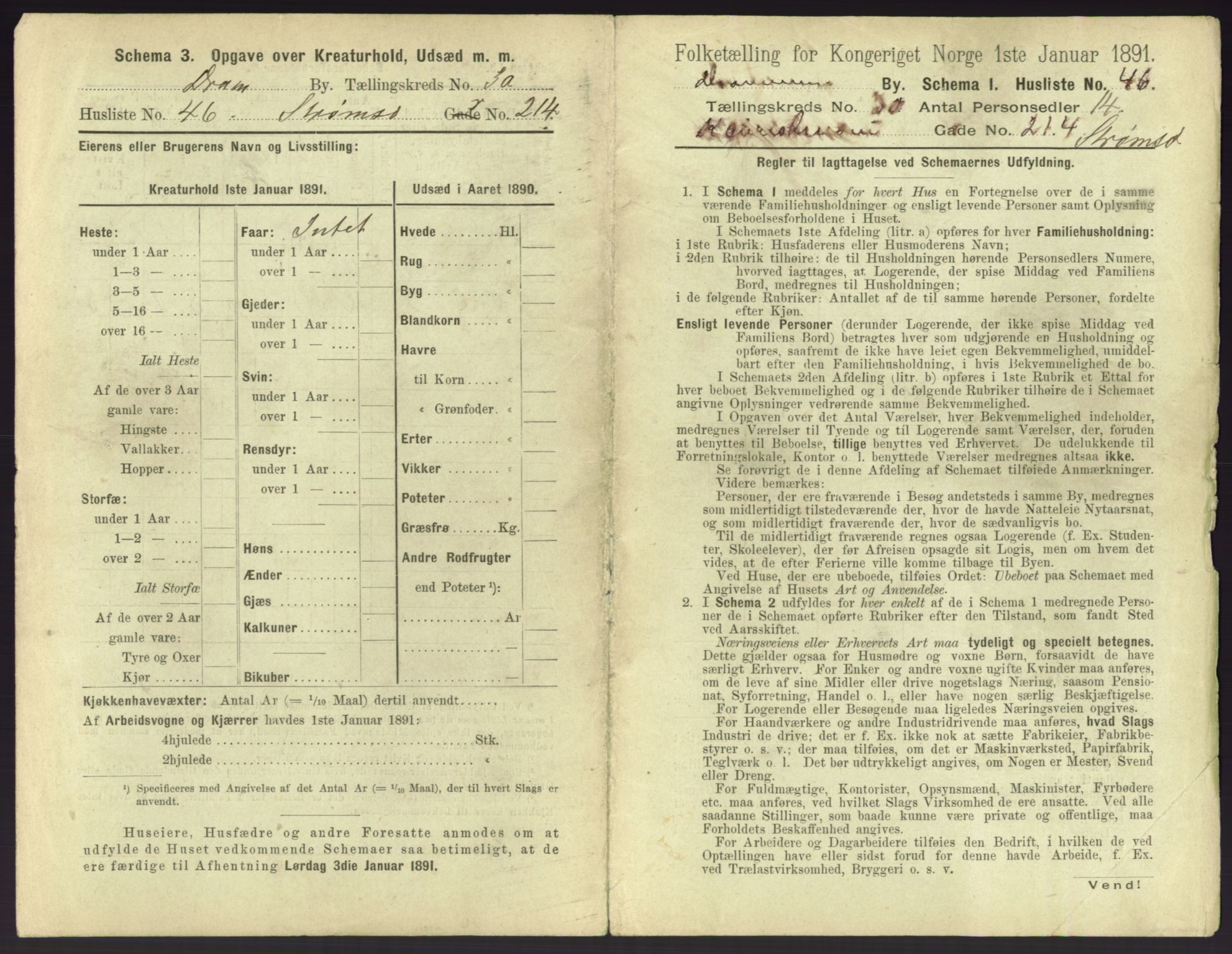 RA, 1891 census for 0602 Drammen, 1891, p. 2655