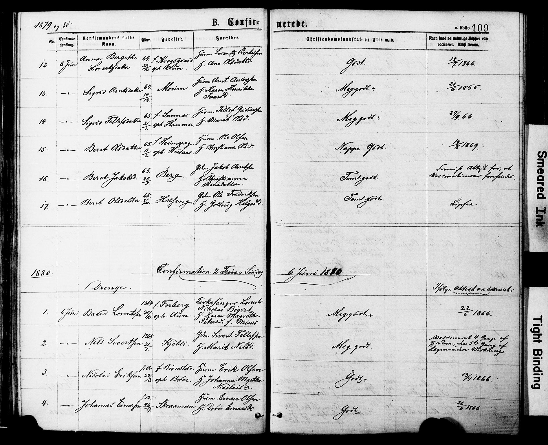 Ministerialprotokoller, klokkerbøker og fødselsregistre - Nord-Trøndelag, AV/SAT-A-1458/749/L0473: Parish register (official) no. 749A07, 1873-1887, p. 109