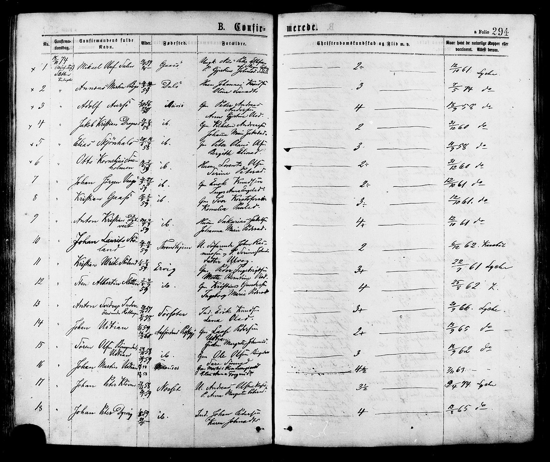 Ministerialprotokoller, klokkerbøker og fødselsregistre - Sør-Trøndelag, AV/SAT-A-1456/634/L0532: Parish register (official) no. 634A08, 1871-1881, p. 294