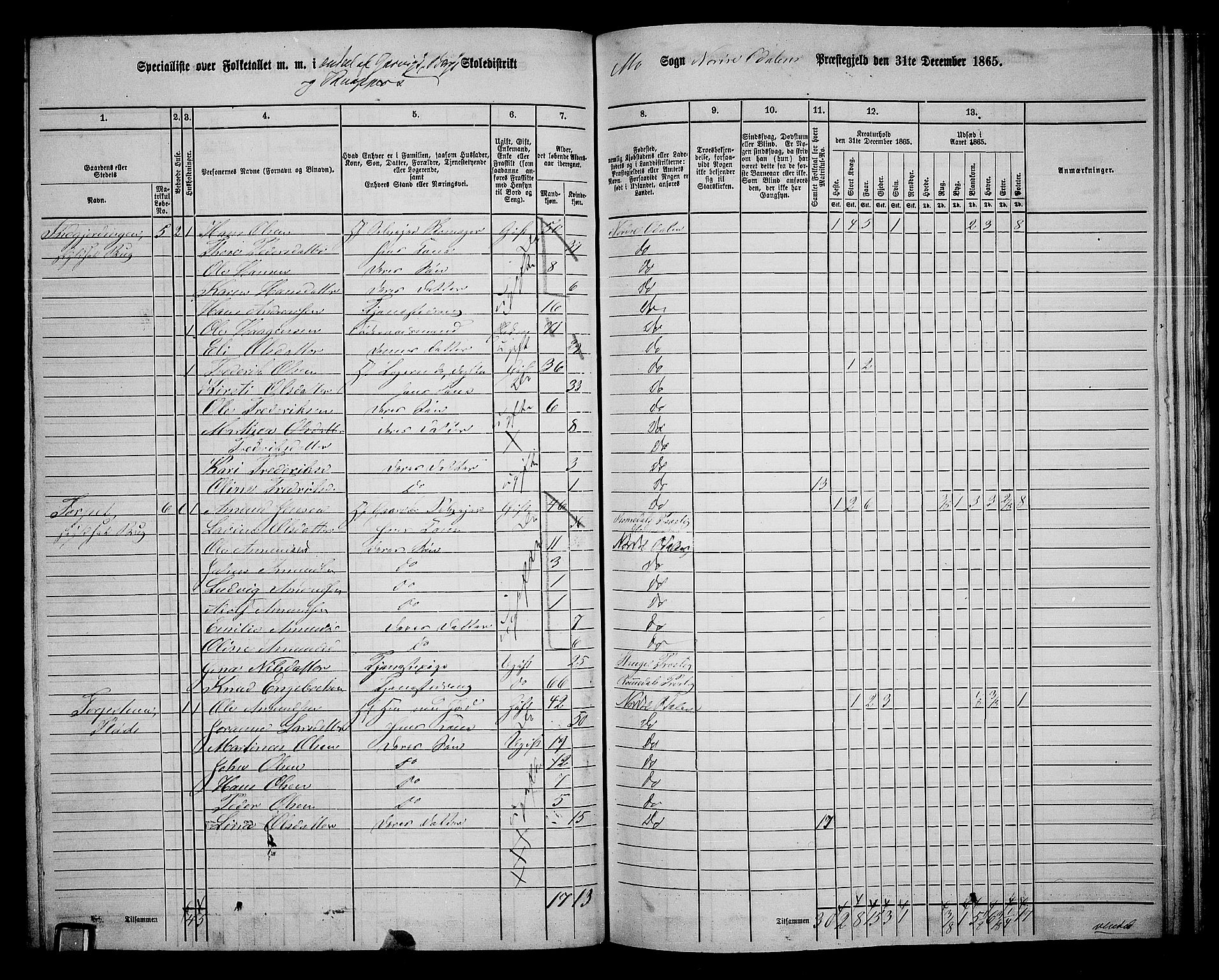 RA, 1865 census for Nord-Odal, 1865, p. 126