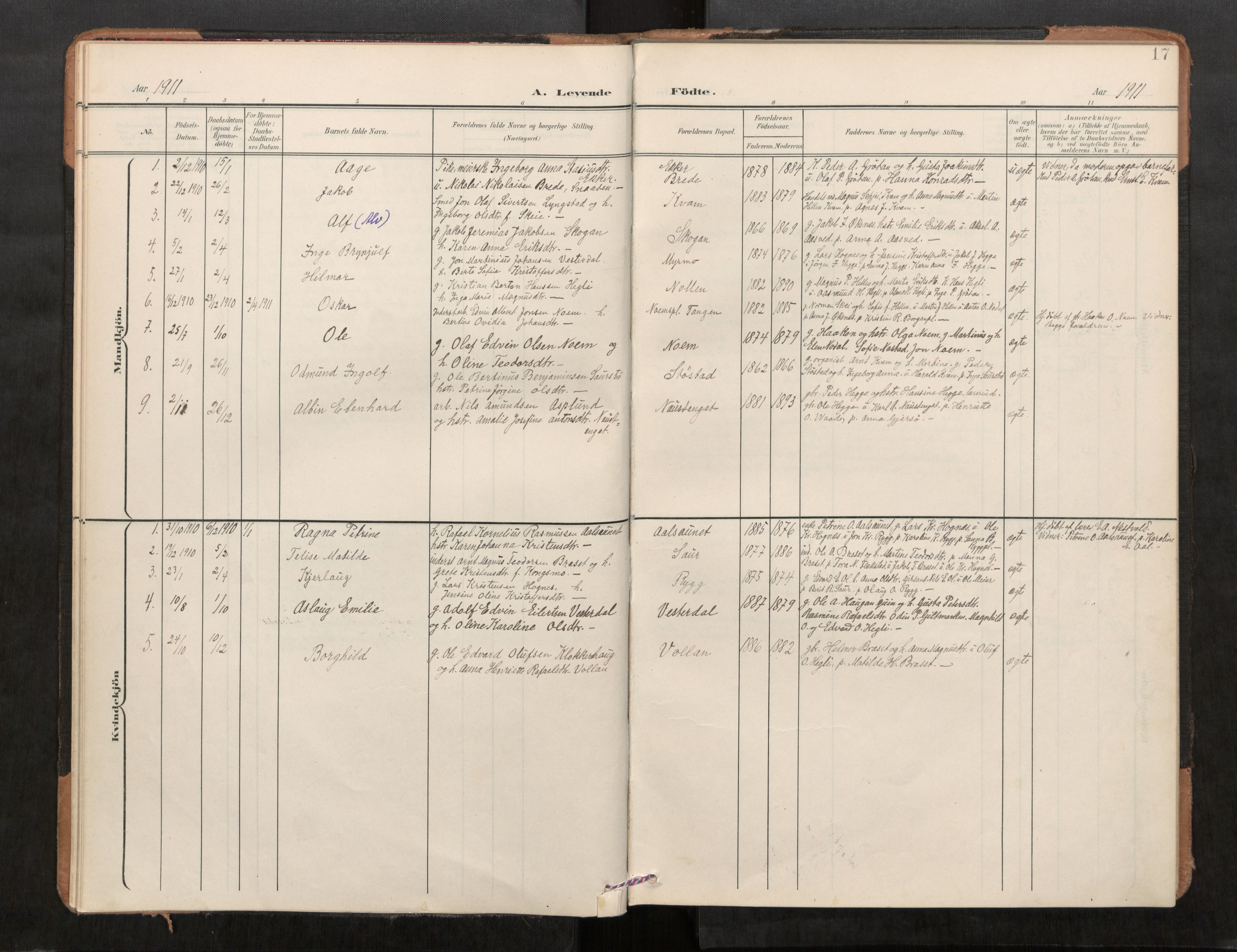 Stod sokneprestkontor, SAT/A-1164/1/I/I1/I1a/L0001: Parish register (official) no. 1, 1900-1912, p. 17
