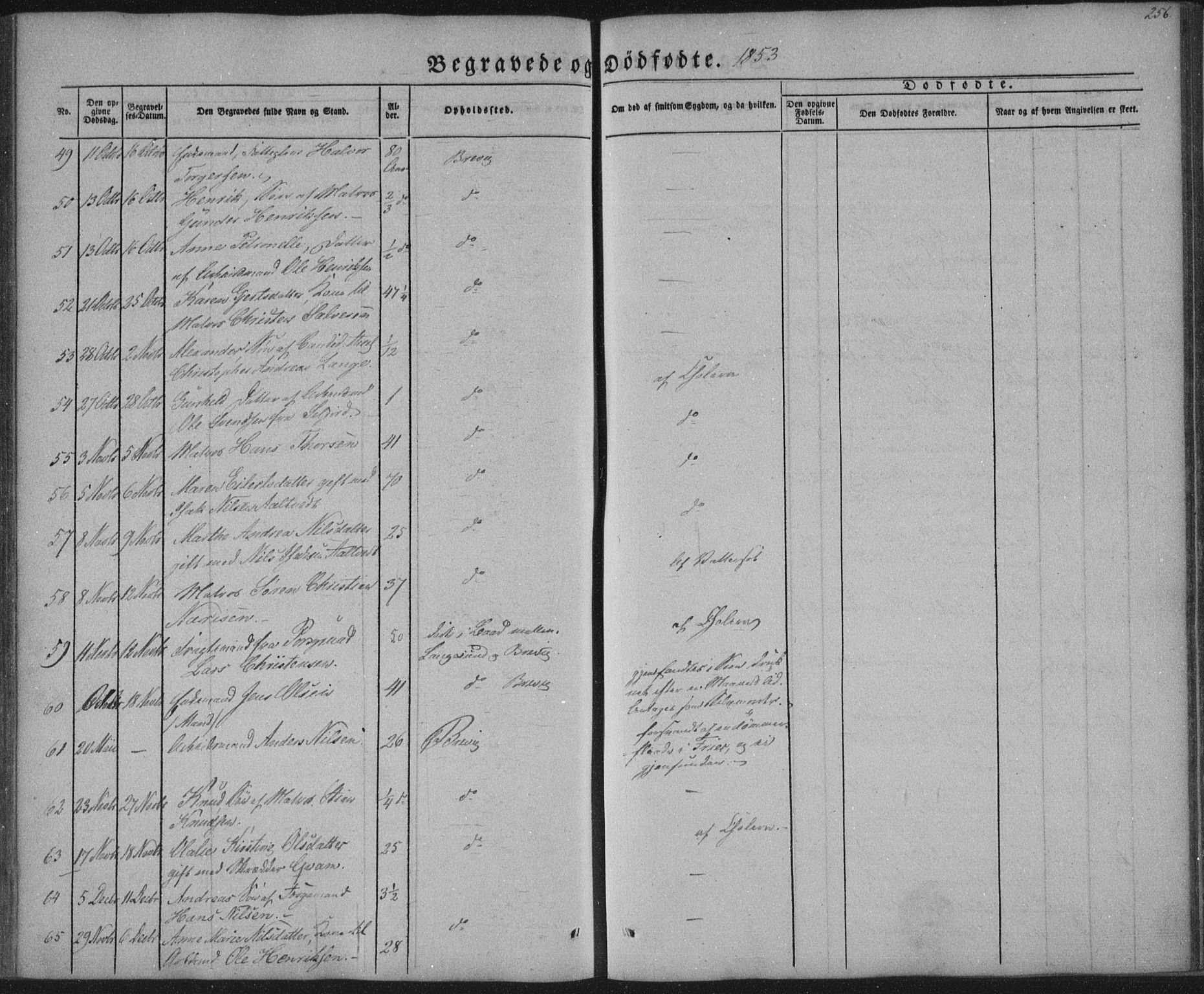 Brevik kirkebøker, AV/SAKO-A-255/F/Fa/L0005: Parish register (official) no. 5, 1847-1865, p. 256