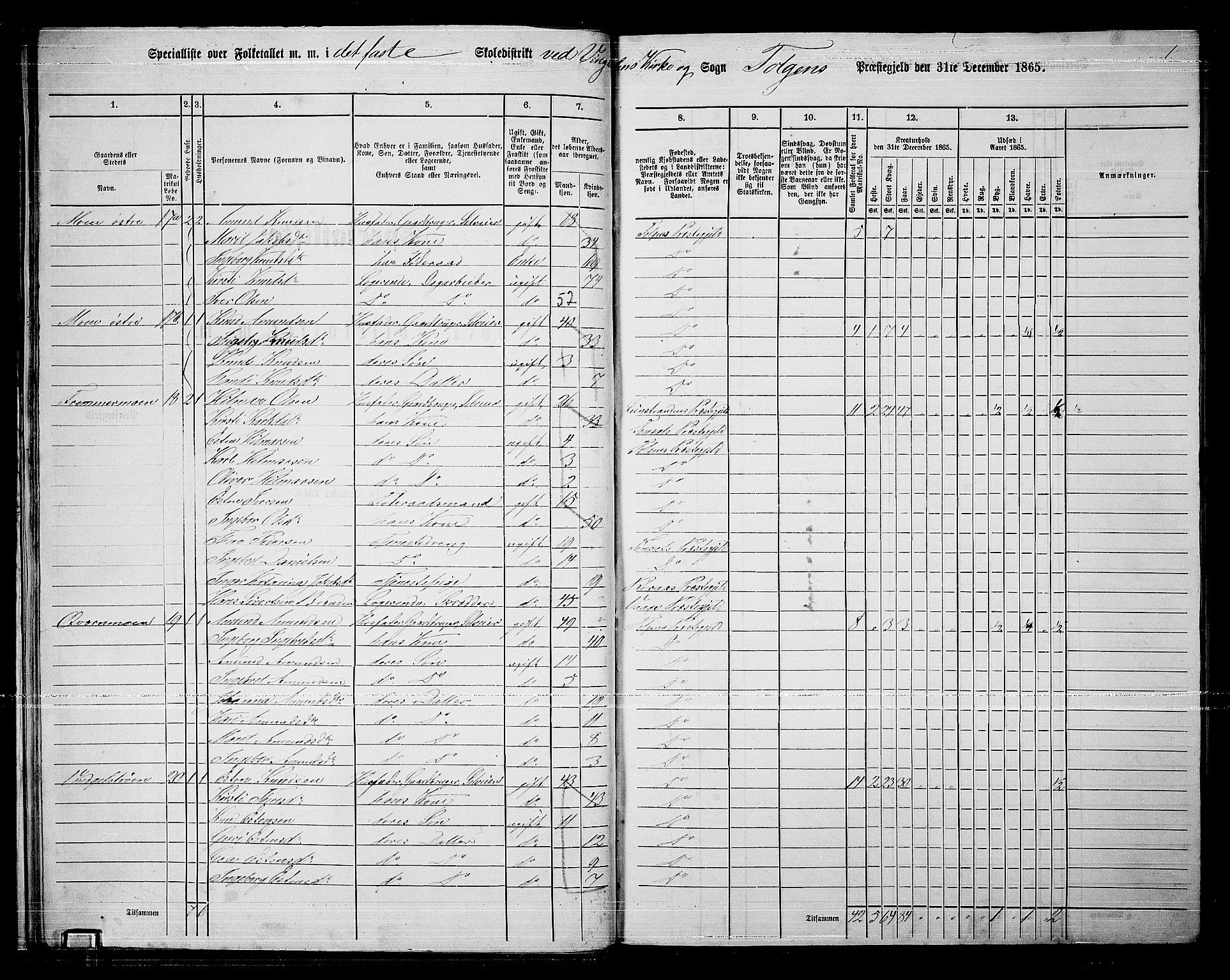 RA, 1865 census for Tolga, 1865, p. 25