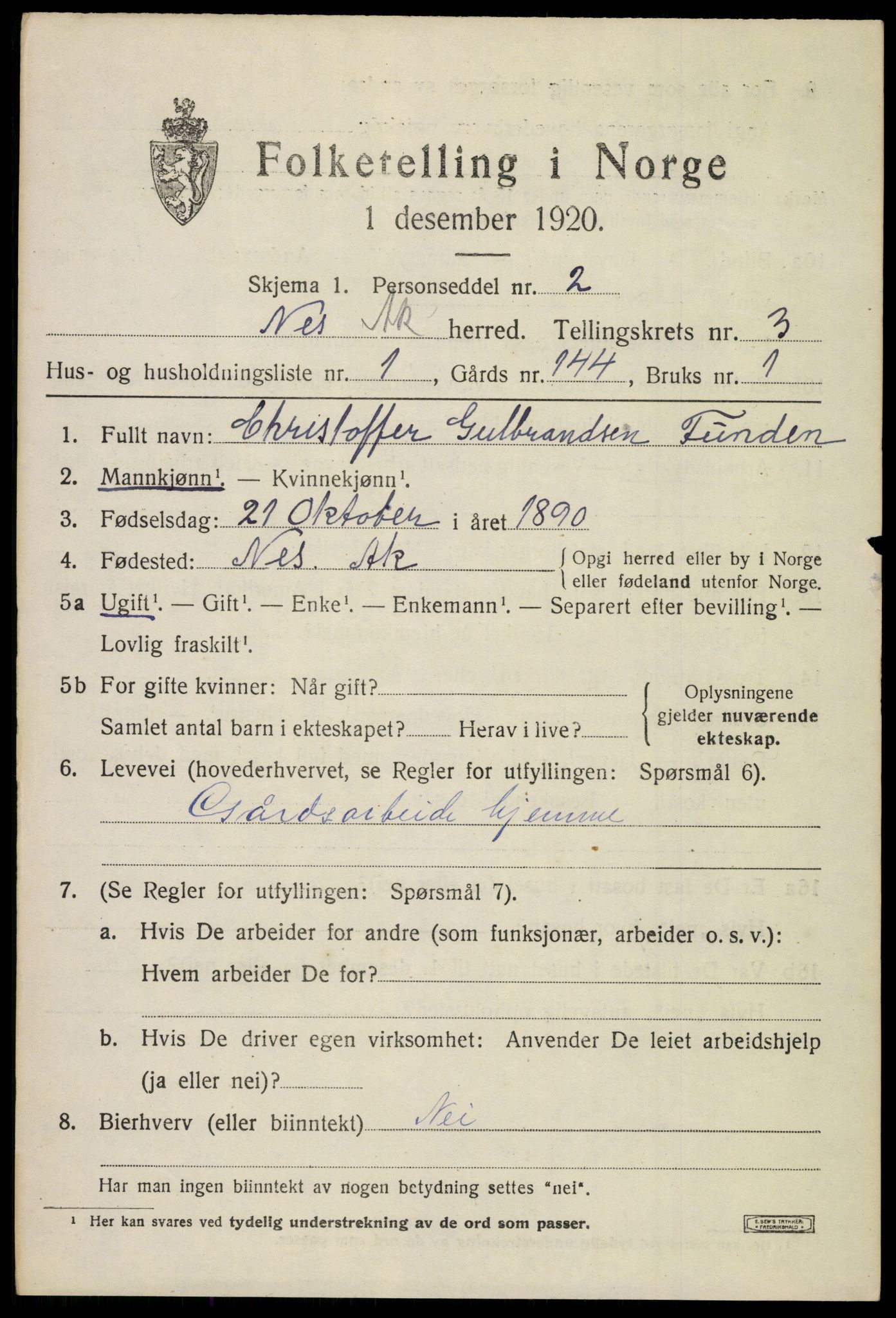 SAO, 1920 census for Nes, 1920, p. 5786