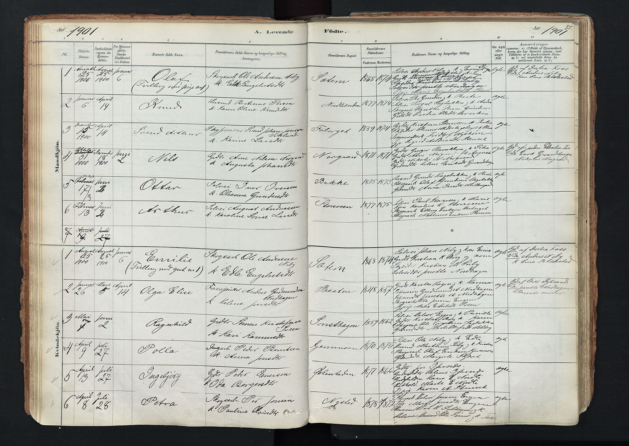 Trysil prestekontor, AV/SAH-PREST-046/H/Ha/Haa/L0011: Parish register (official) no. 11, 1878-1912, p. 55