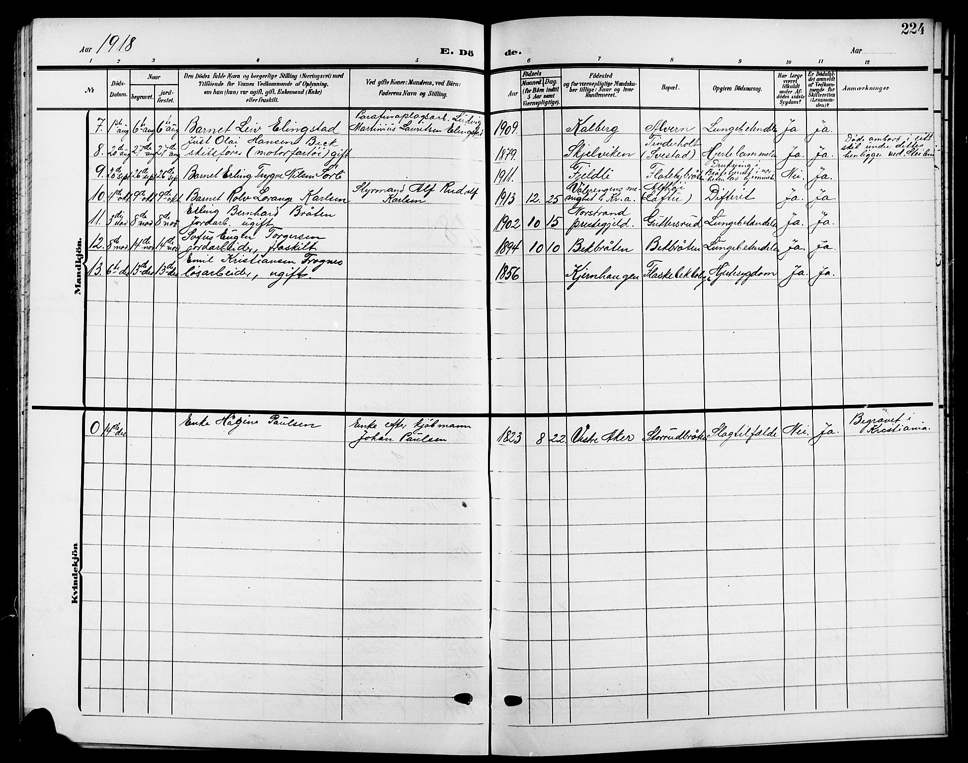 Nesodden prestekontor Kirkebøker, AV/SAO-A-10013/G/Ga/L0002: Parish register (copy) no. I 2, 1905-1924, p. 224