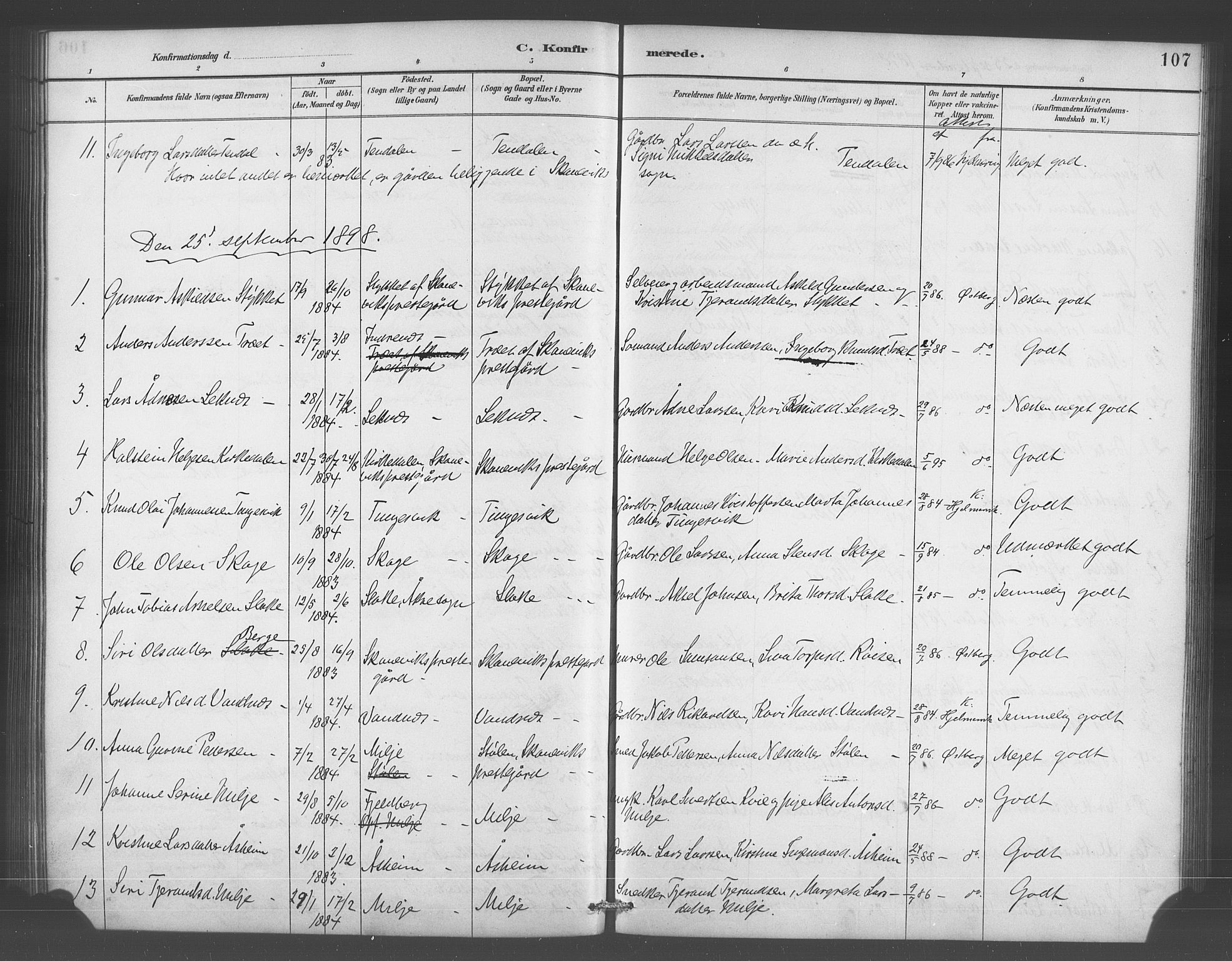 Skånevik sokneprestembete, AV/SAB-A-77801/H/Hab: Parish register (copy) no. A 2, 1888-1924, p. 107