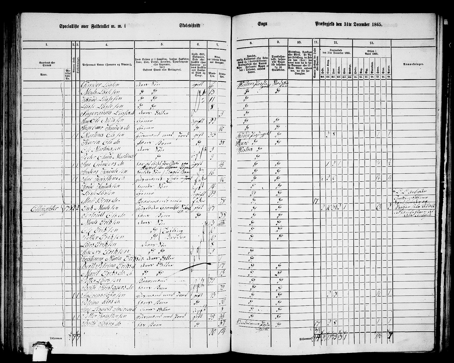 RA, 1865 census for Vestnes, 1865, p. 123