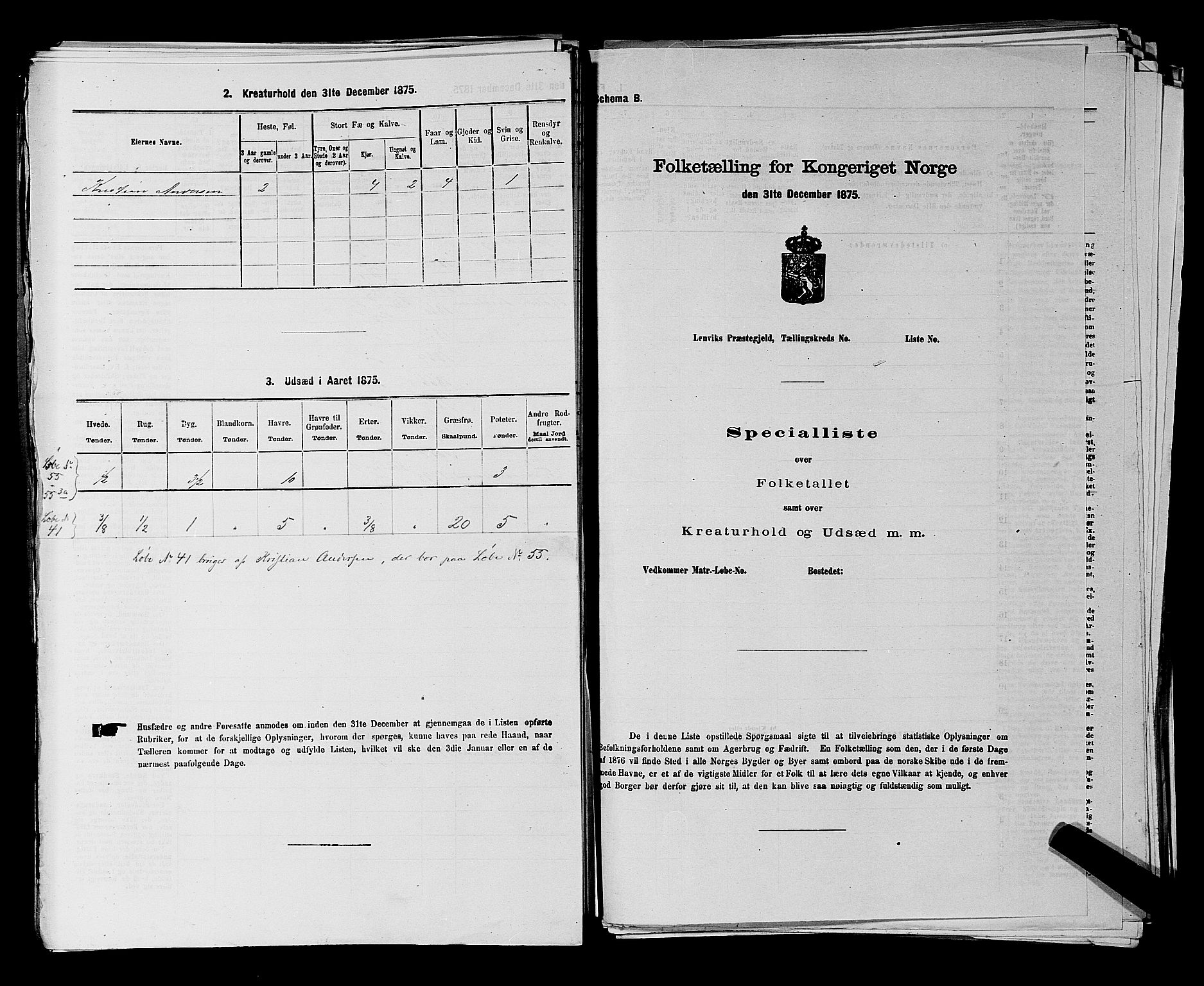 RA, 1875 census for 0113P Borge, 1875, p. 823